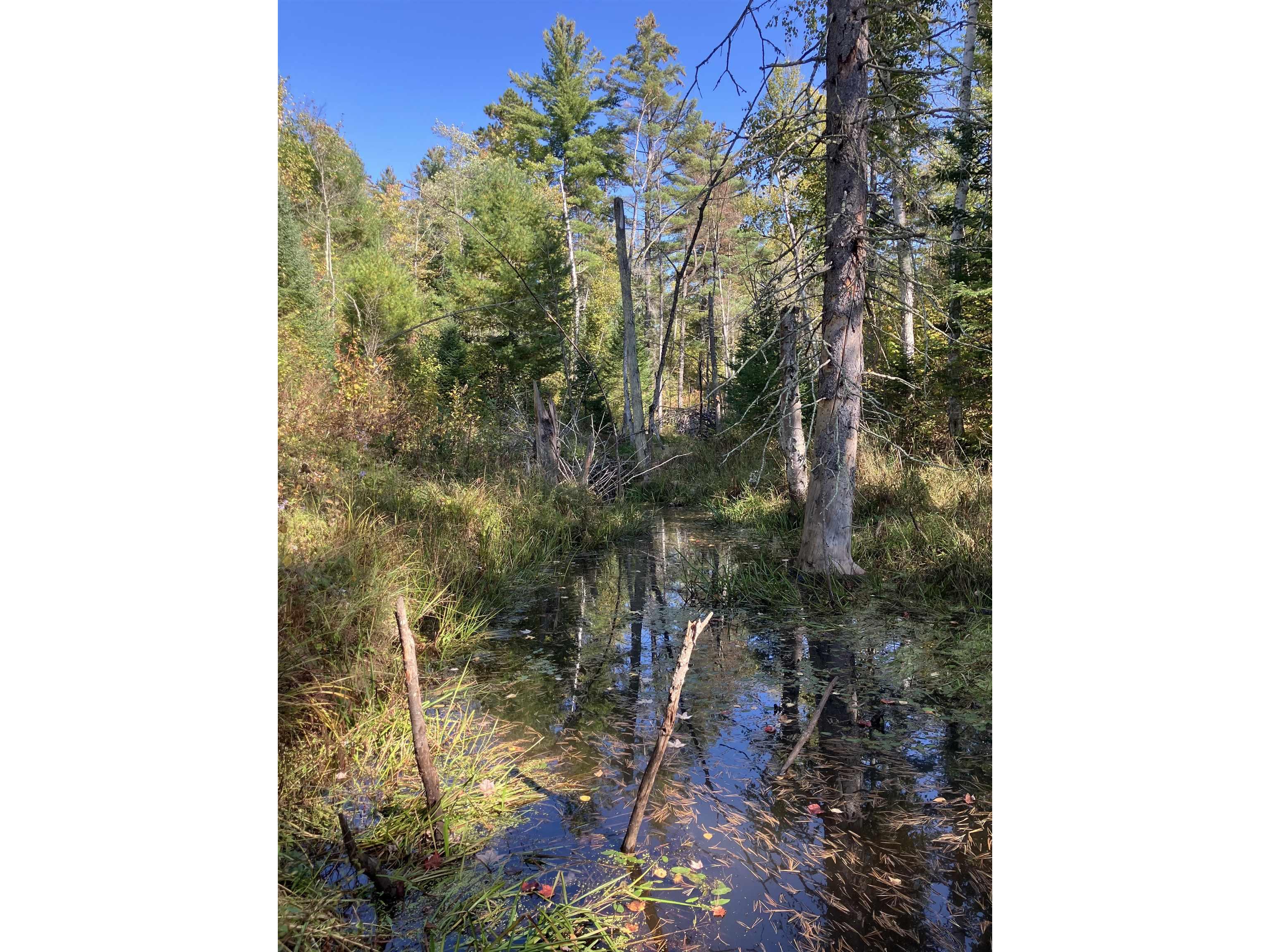 00002 Pine Flats Rd Saxon WI 54546 6122272 image5