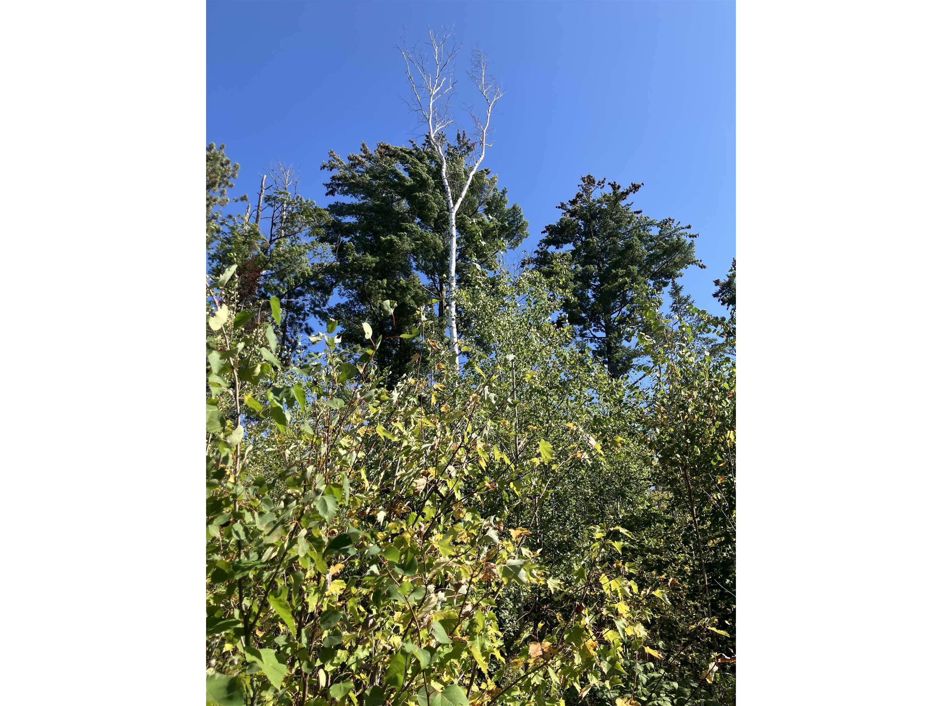 00003 Pine Flats Rd Saxon WI 54546 6122279 image2