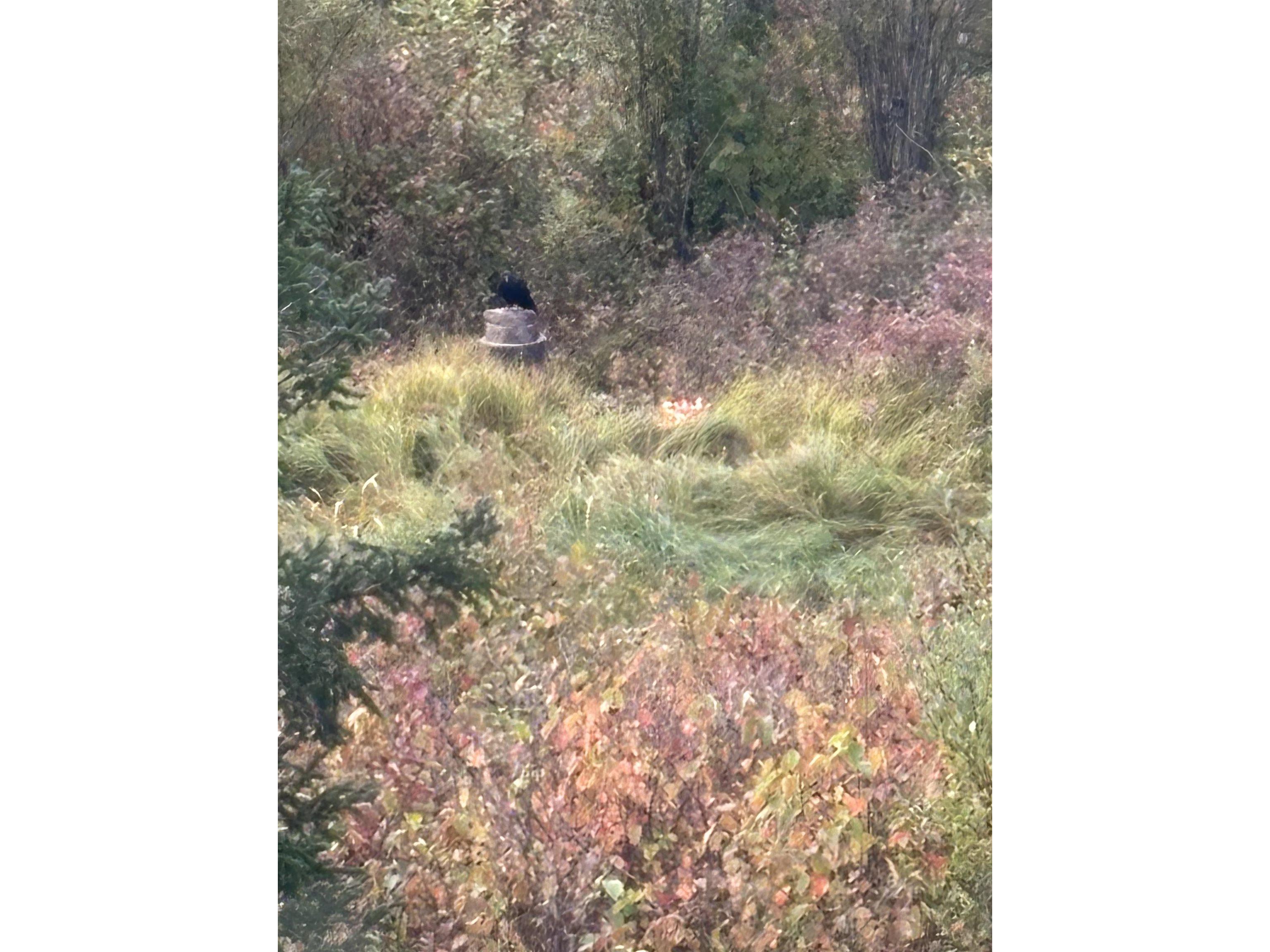 00003 Pine Flats Rd Saxon WI 54546 6122279 image3