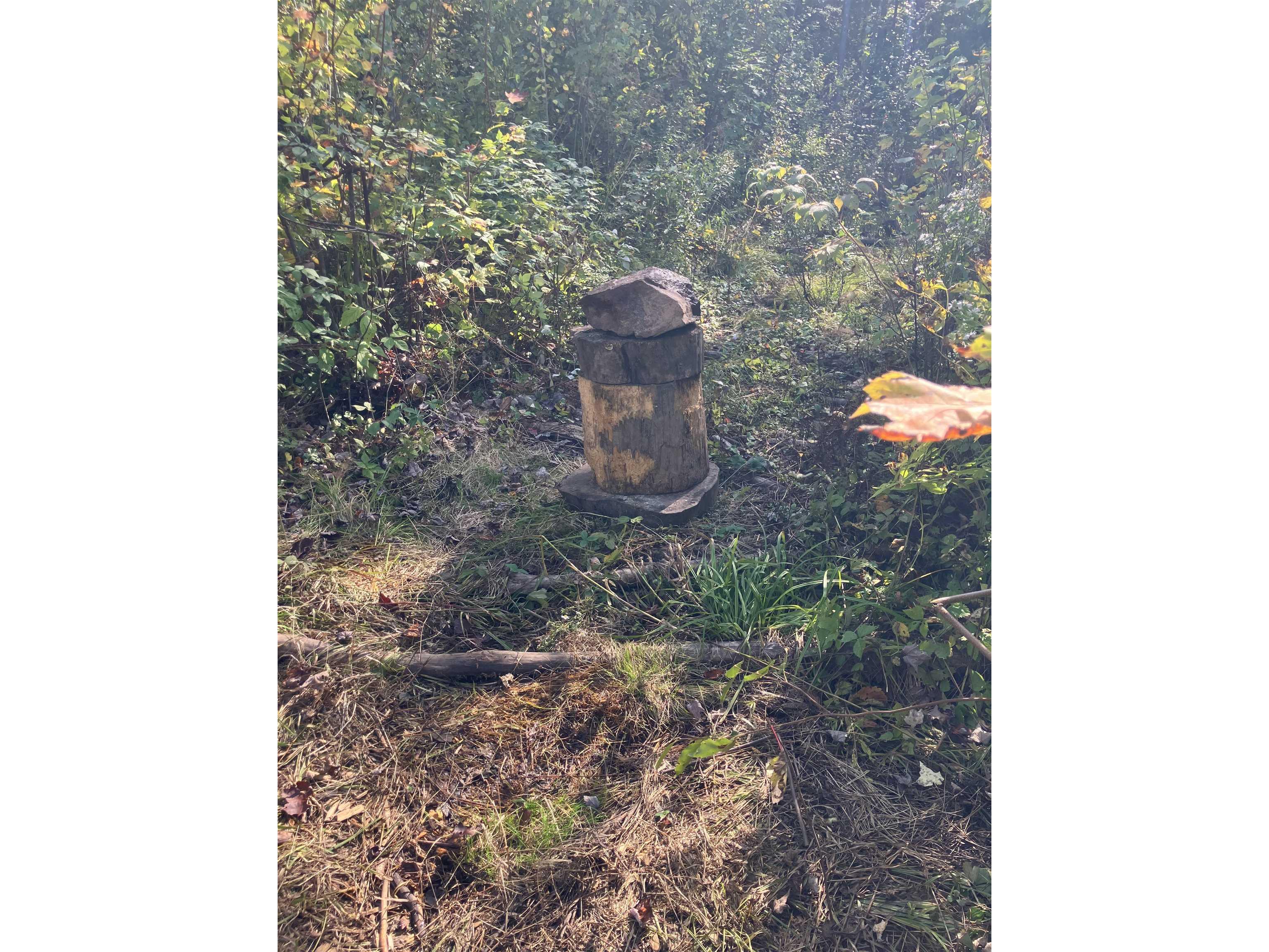 00003 Pine Flats Rd Saxon WI 54546 6122279 image6