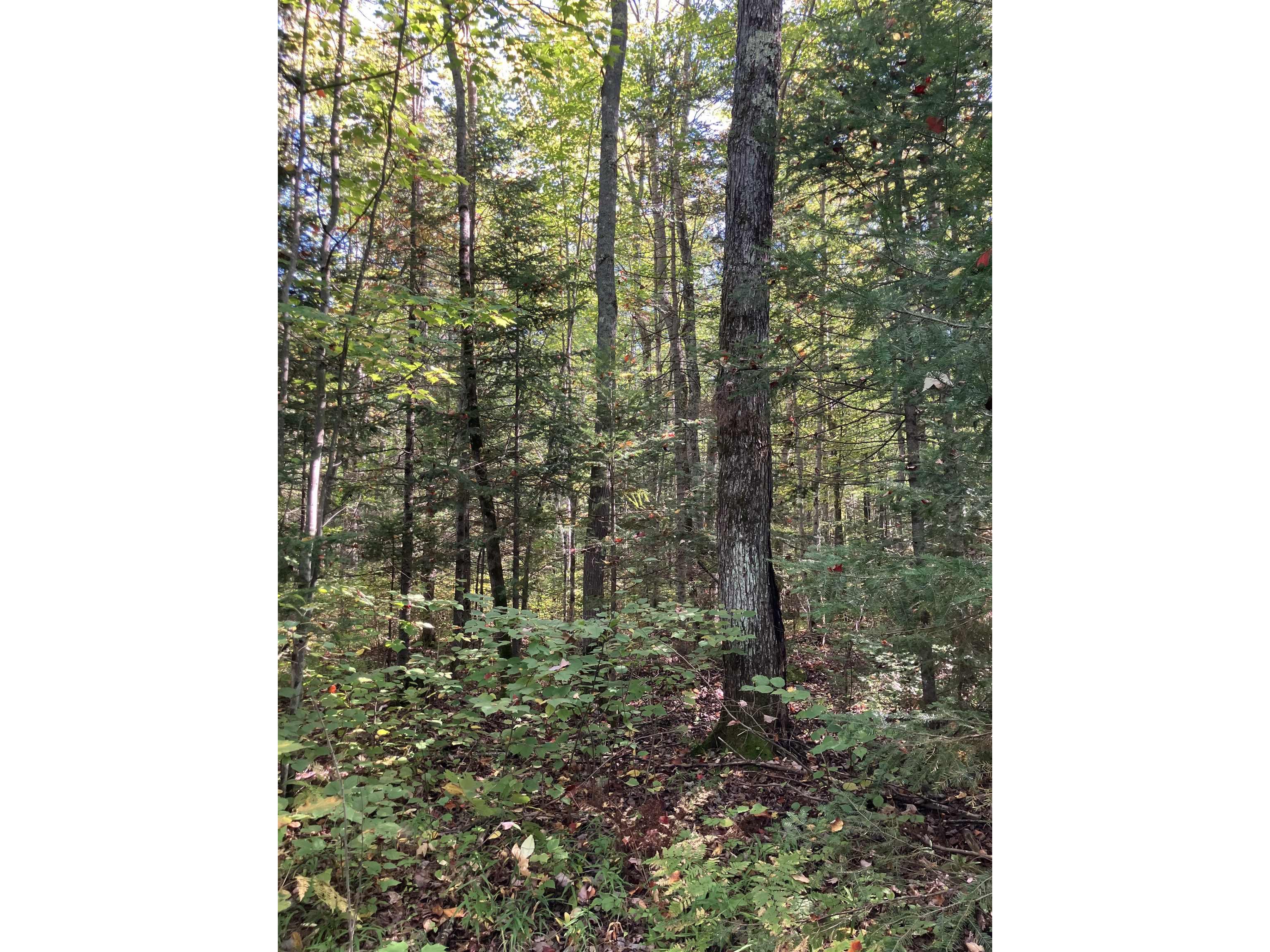 00003 Pine Flats Rd Saxon WI 54546 6122279 image7