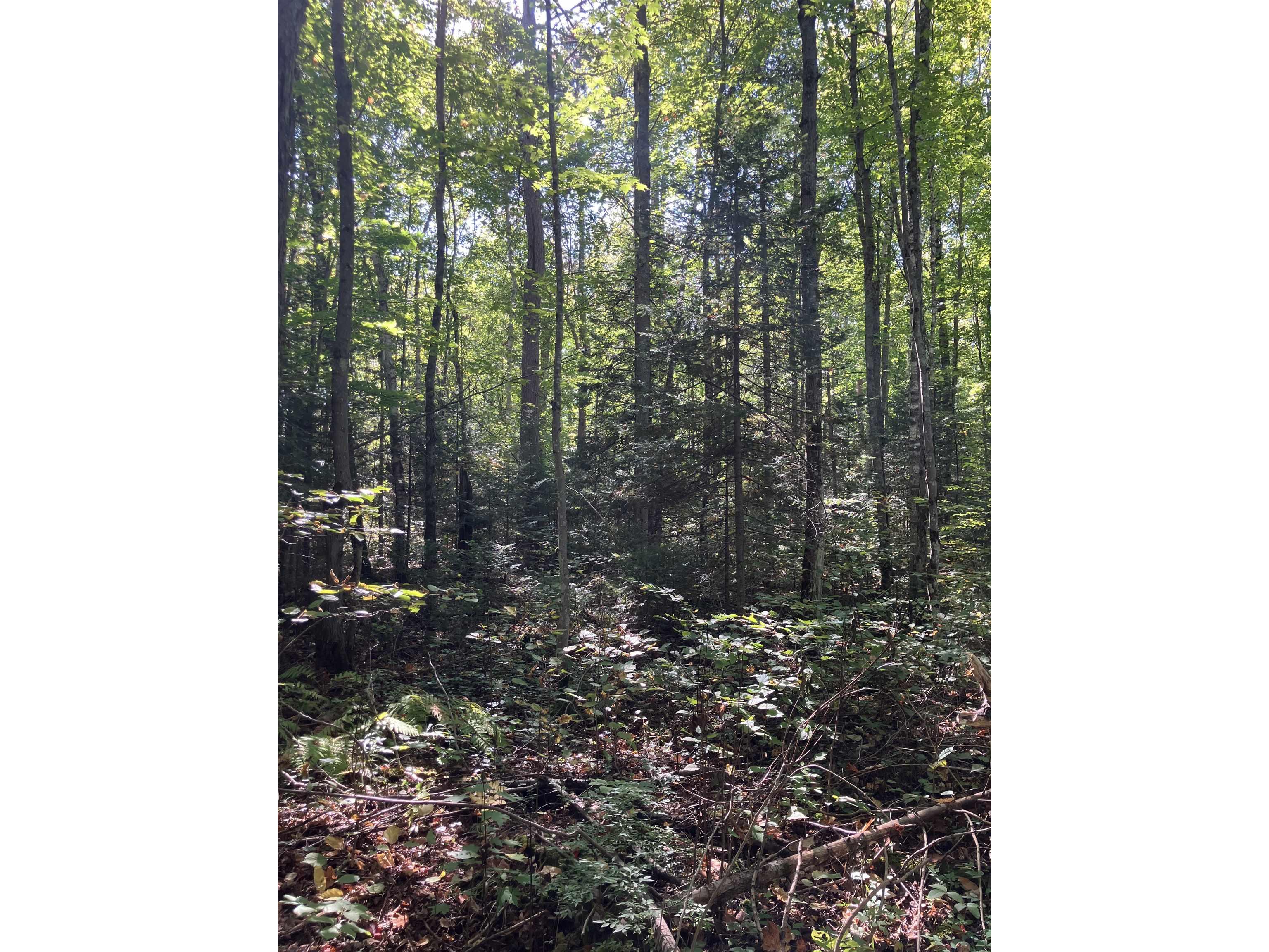 00003 Pine Flats Rd Saxon WI 54546 6122279 image8