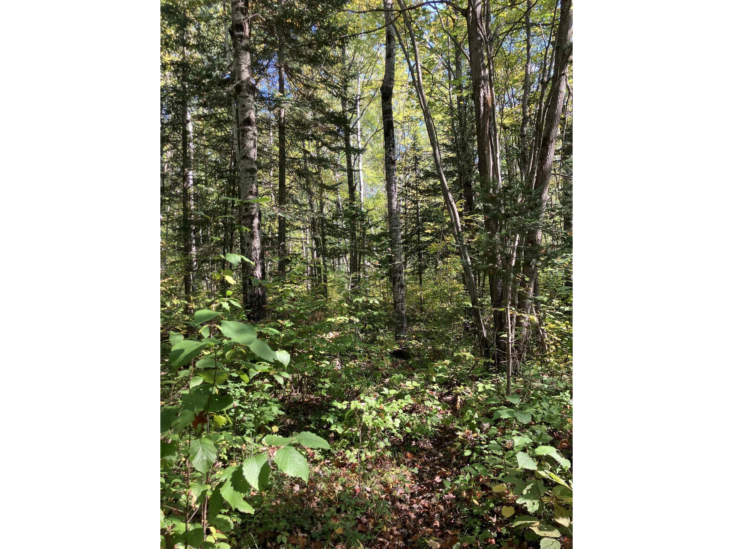 00004 Government Rd Saxon WI 54546 6122280 image4