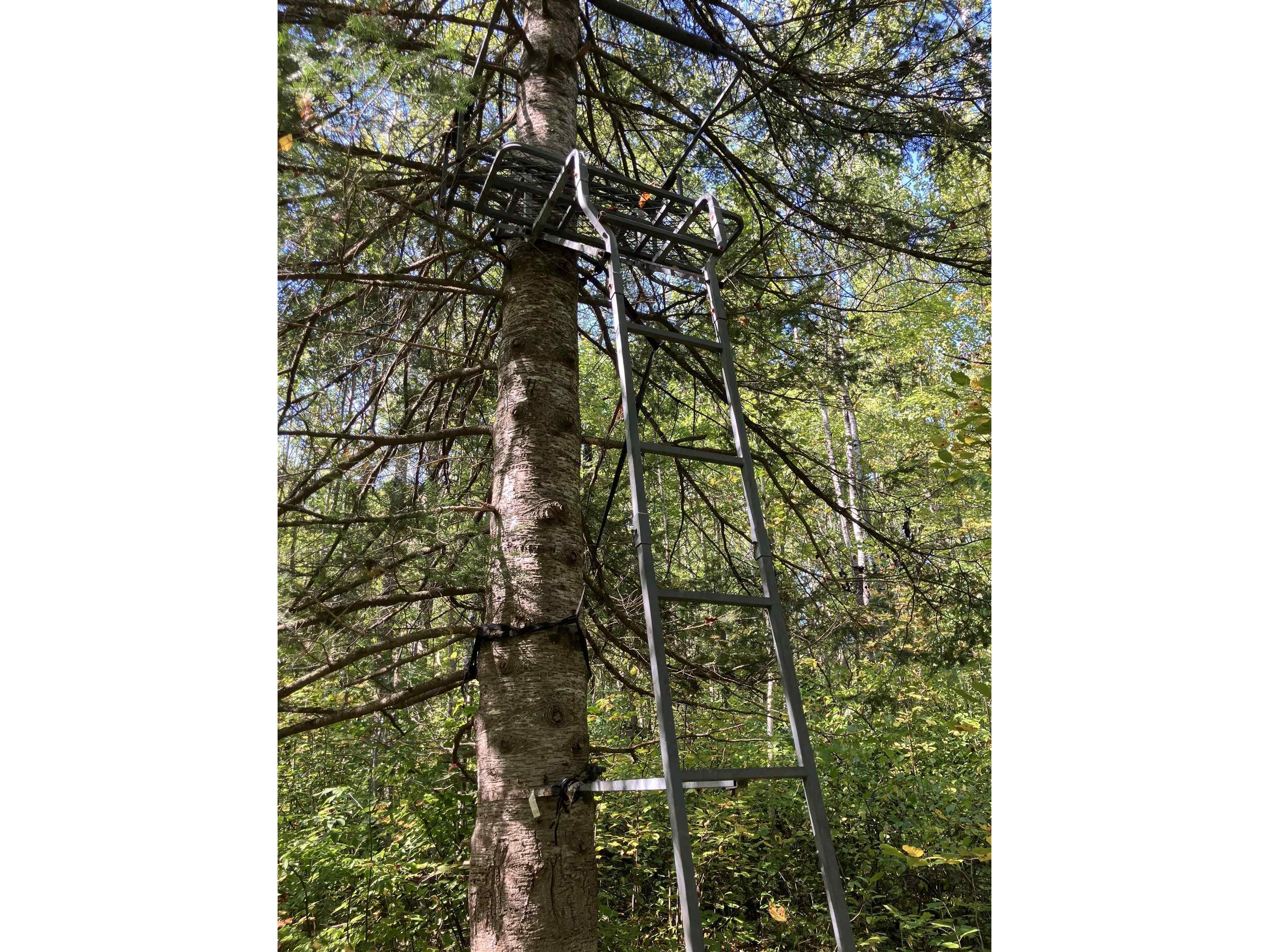 00004 Government Rd Saxon WI 54546 6122280 image6