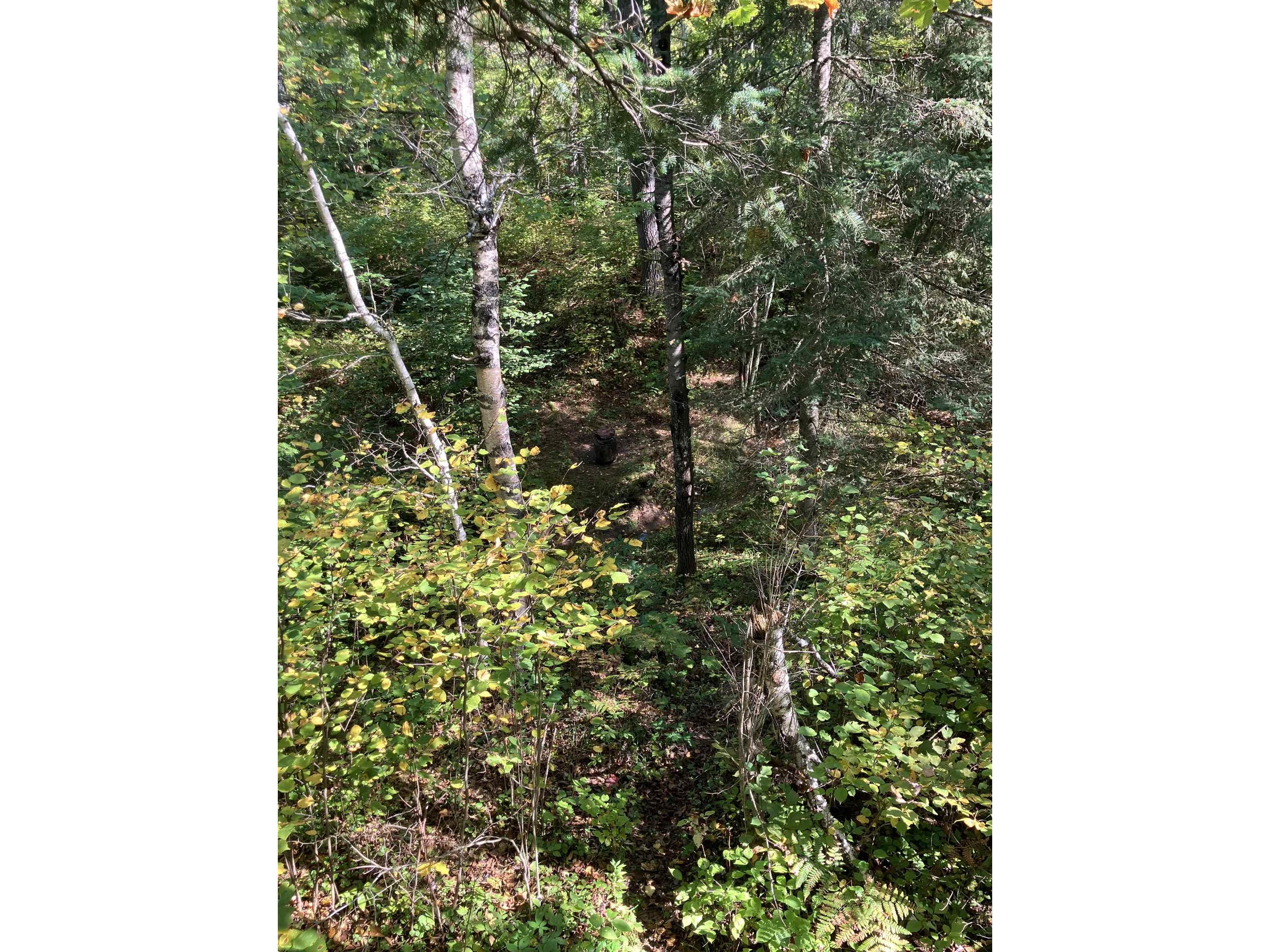 00004 Government Rd Saxon WI 54546 6122280 image7