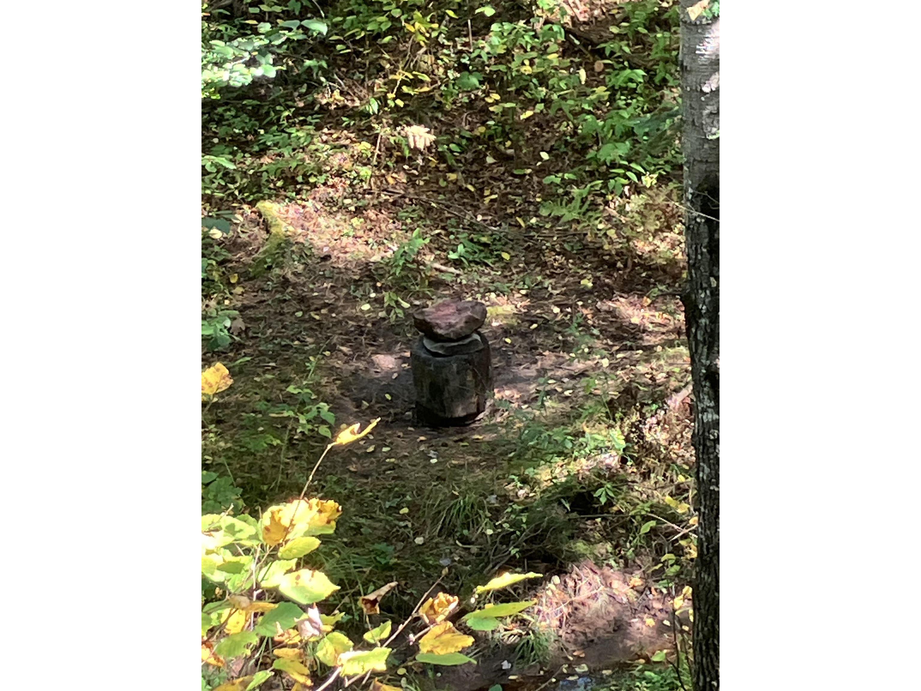 00004 Government Rd Saxon WI 54546 6122280 image8