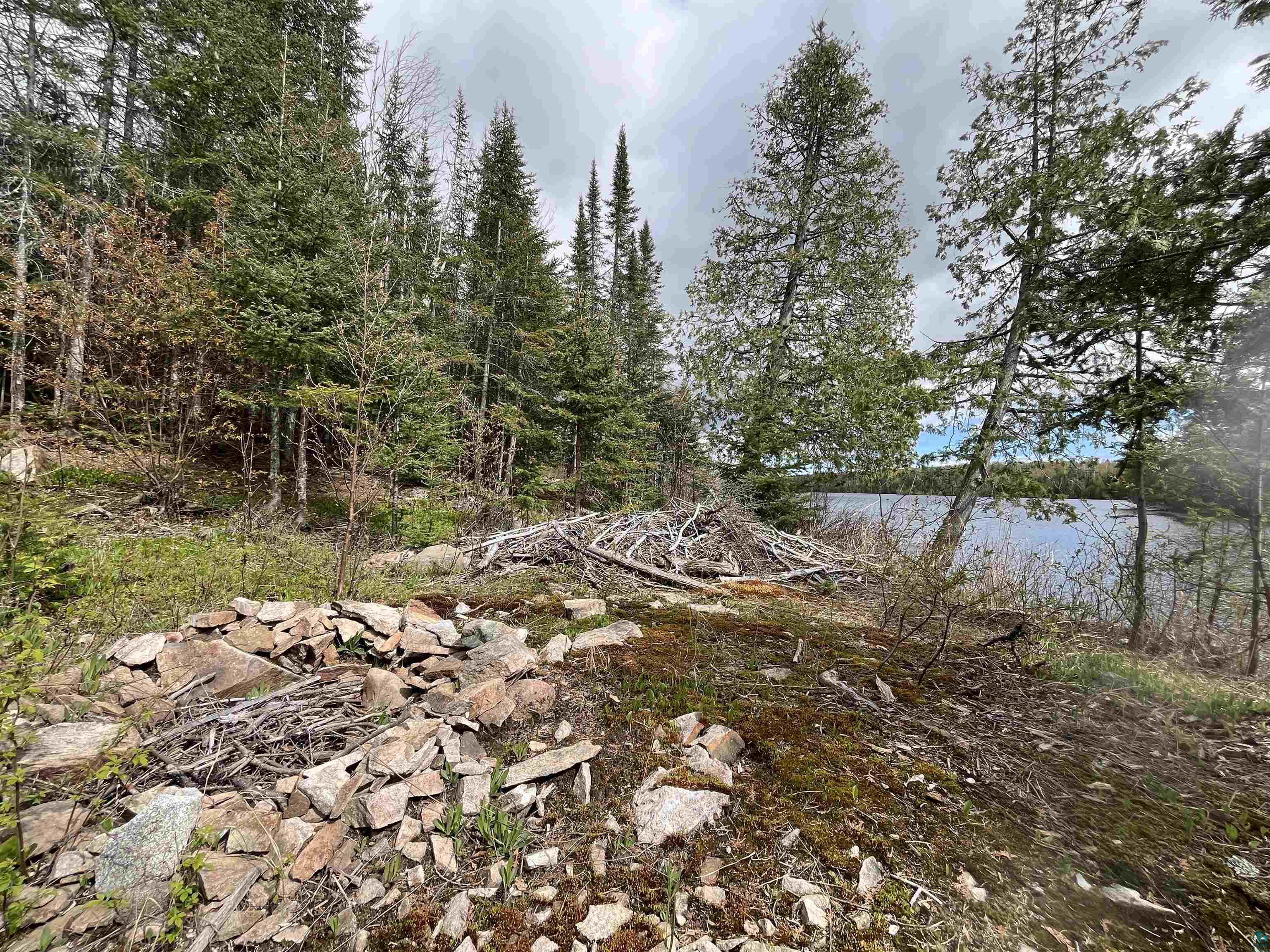 100 Wilderness Tr Hovland MN 55606 - Tom 6124856 image12