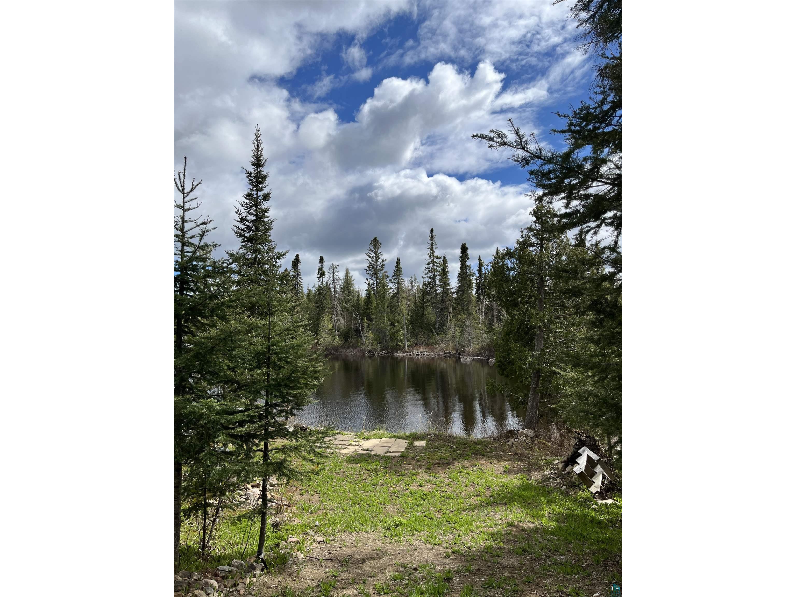 100 Wilderness Tr Hovland MN 55606 - Tom 6124856 image3