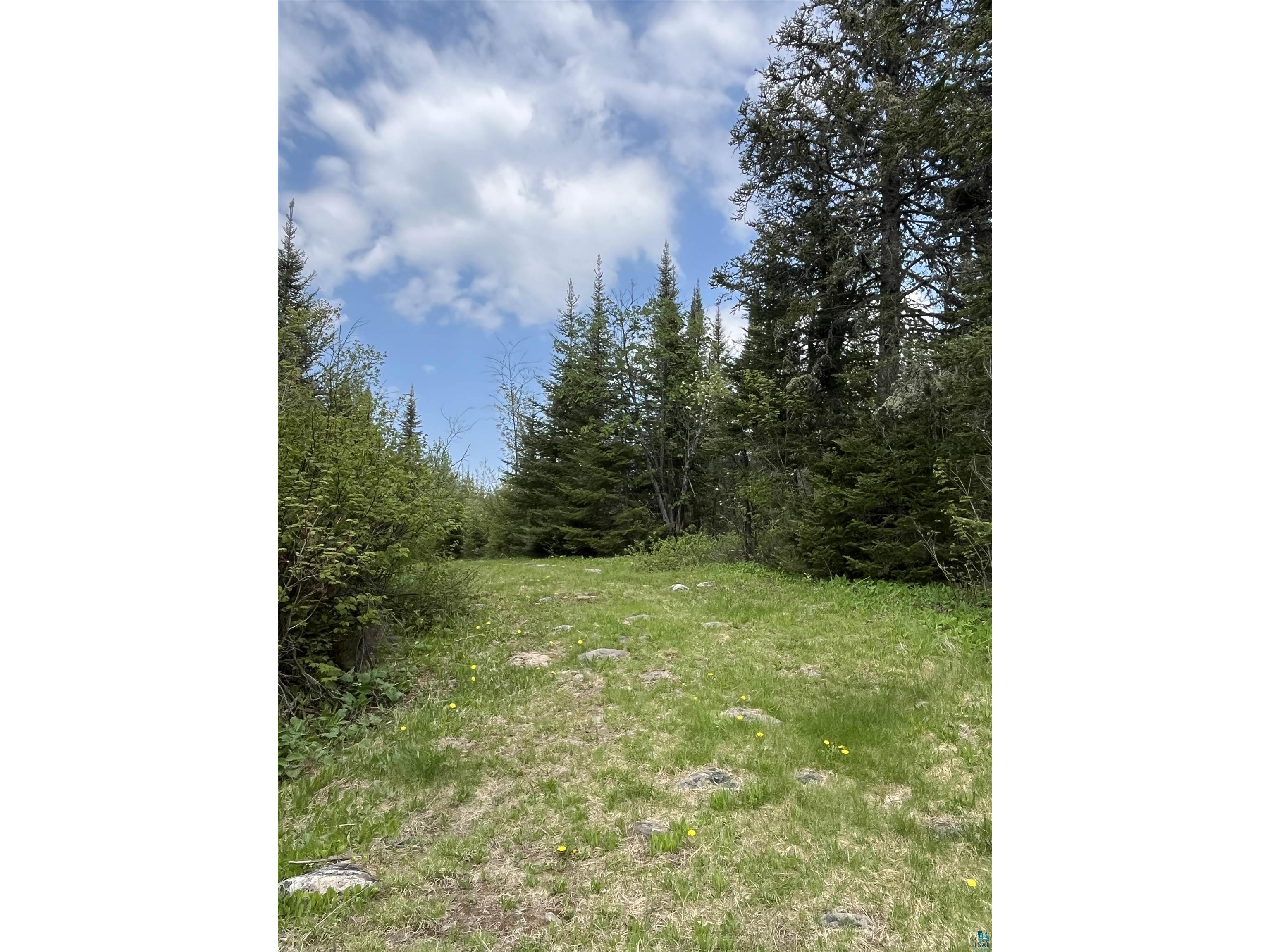 100 Wilderness Tr Hovland MN 55606 - Tom 6124856 image4