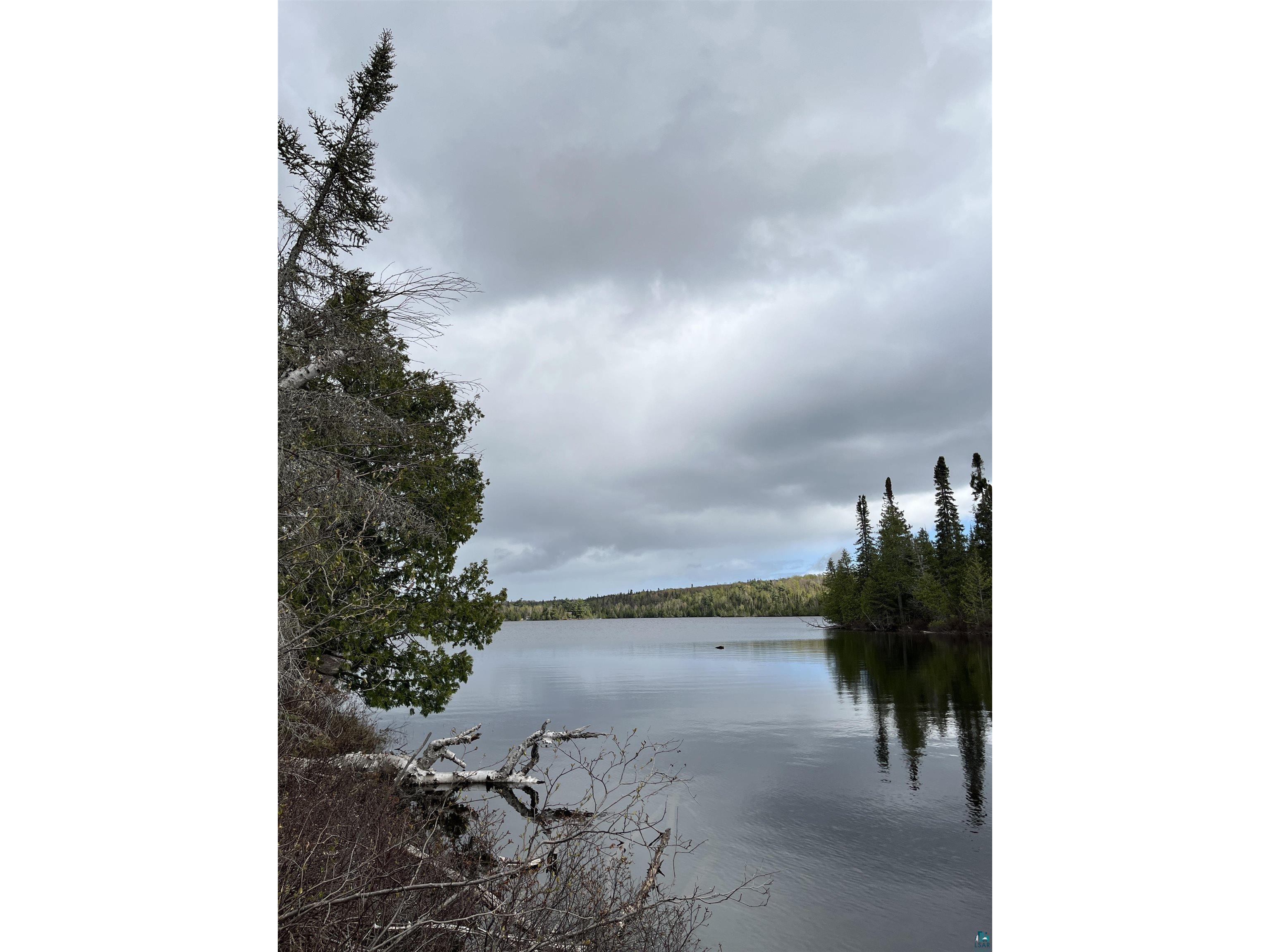 100 Wilderness Tr Hovland MN 55606 - Tom 6124856 image8
