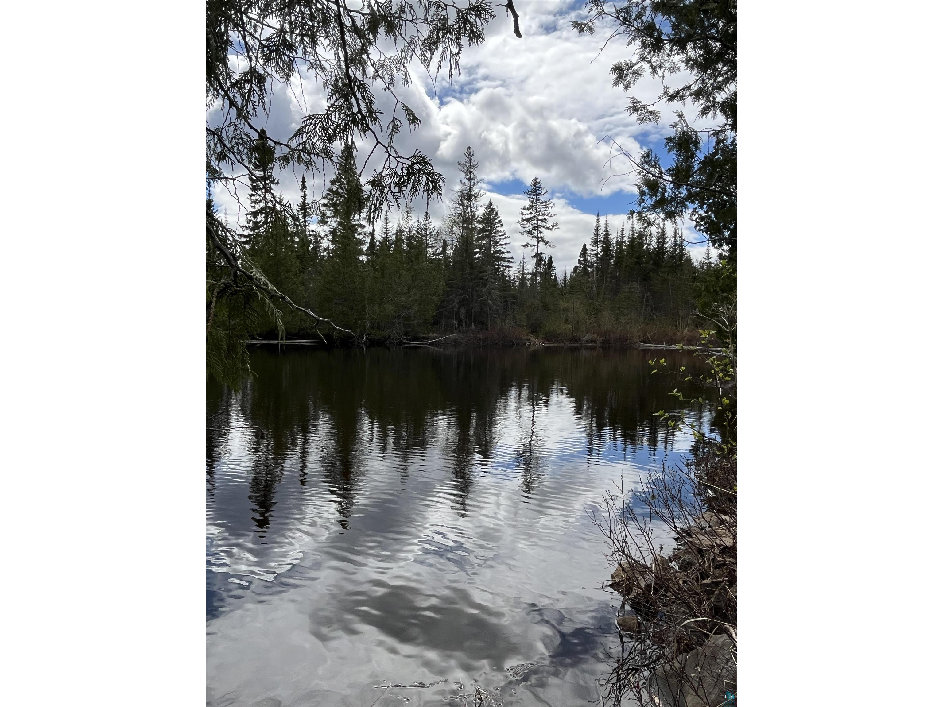 100 Wilderness Tr Hovland MN 55606 - Tom 6124856 image9