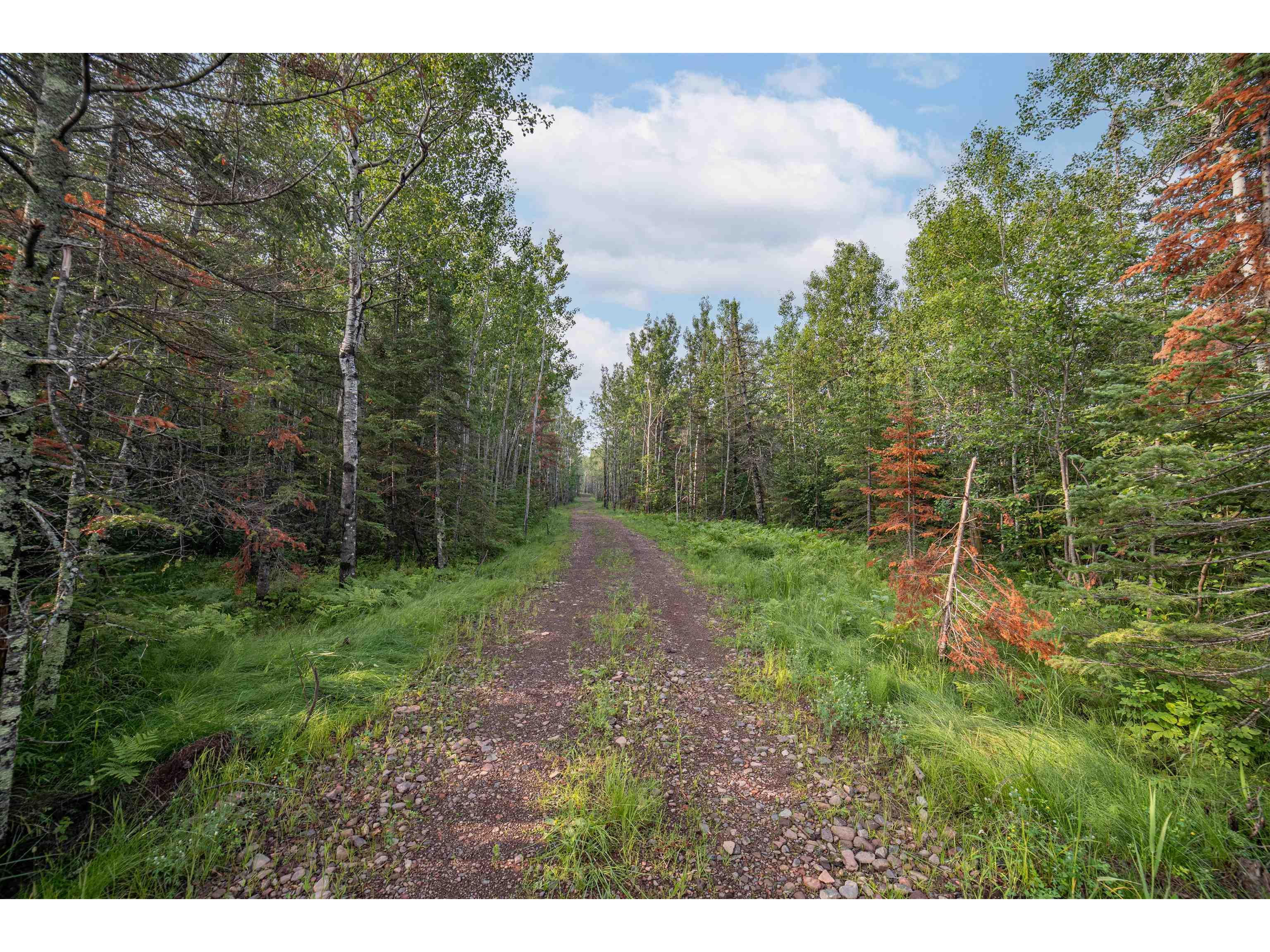 1000 Airport Rd Two Harbors MN 55616 6120840 image1