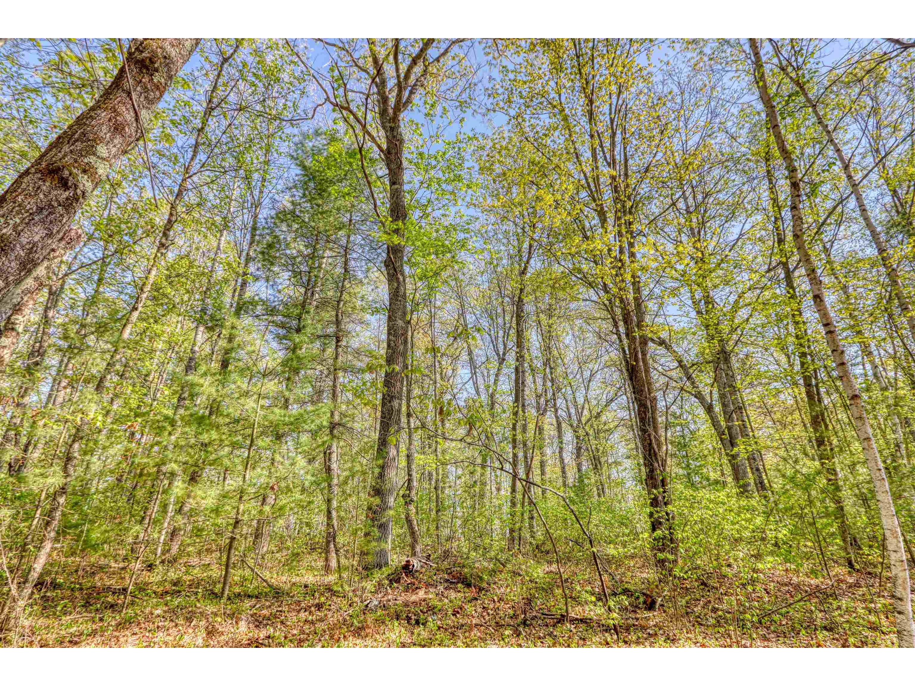 10148 N McClaine Rd Hayward WI 54843 6120787 image53