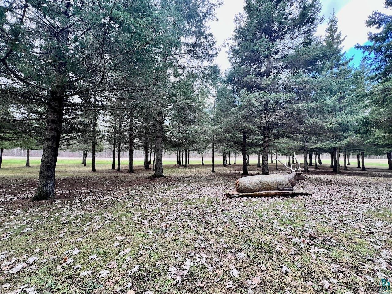10261 Wein Rd Cook MN 55723 6124890 image33