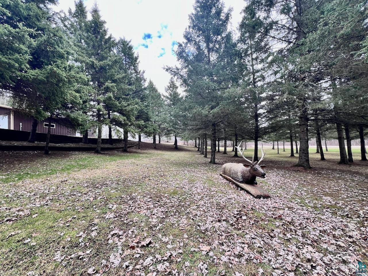 10261 Wein Rd Cook MN 55723 6124890 image48