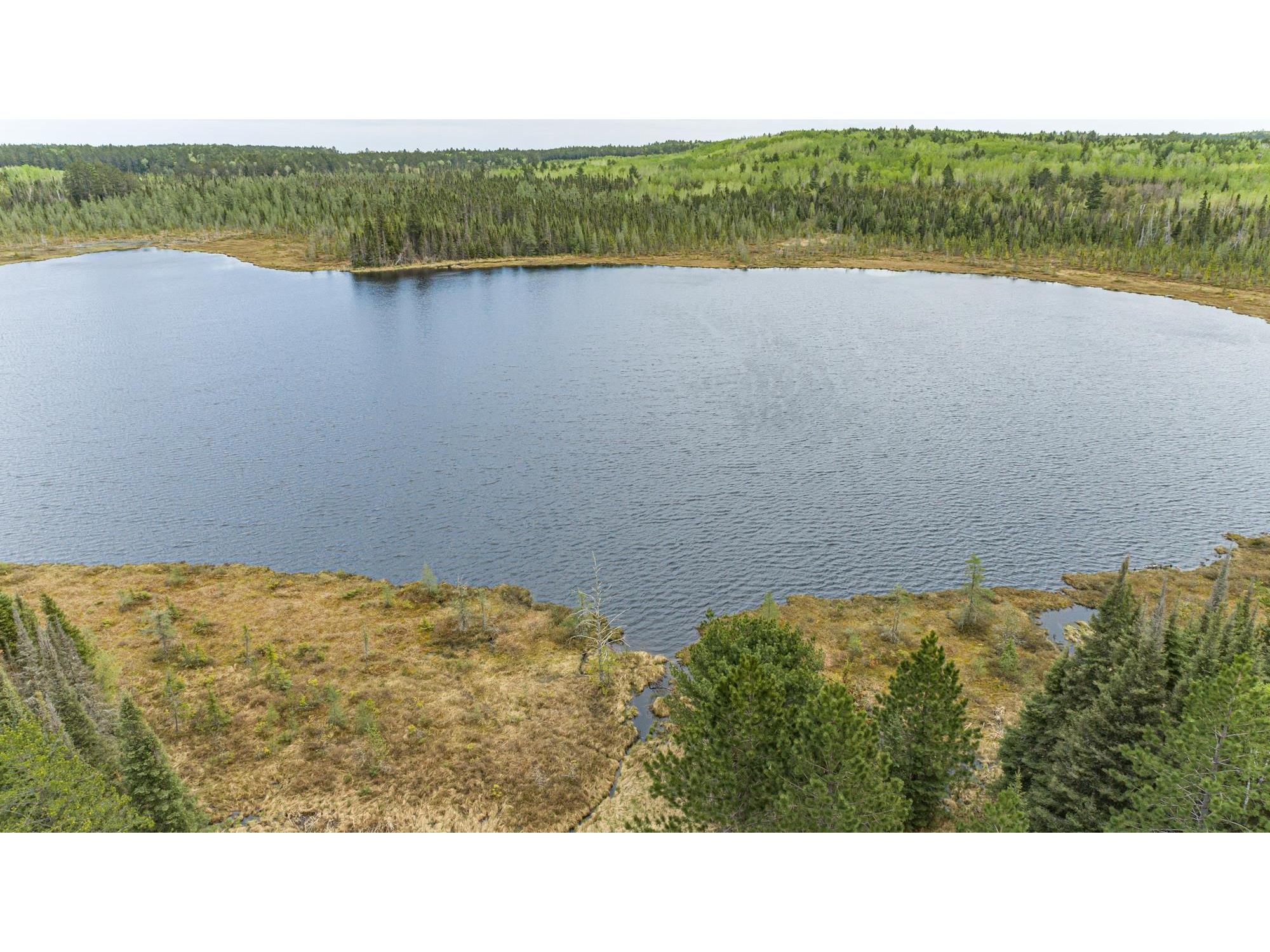 10350 Victor Lake Rd Isabella MN 55607 - Victor 6122052 image19