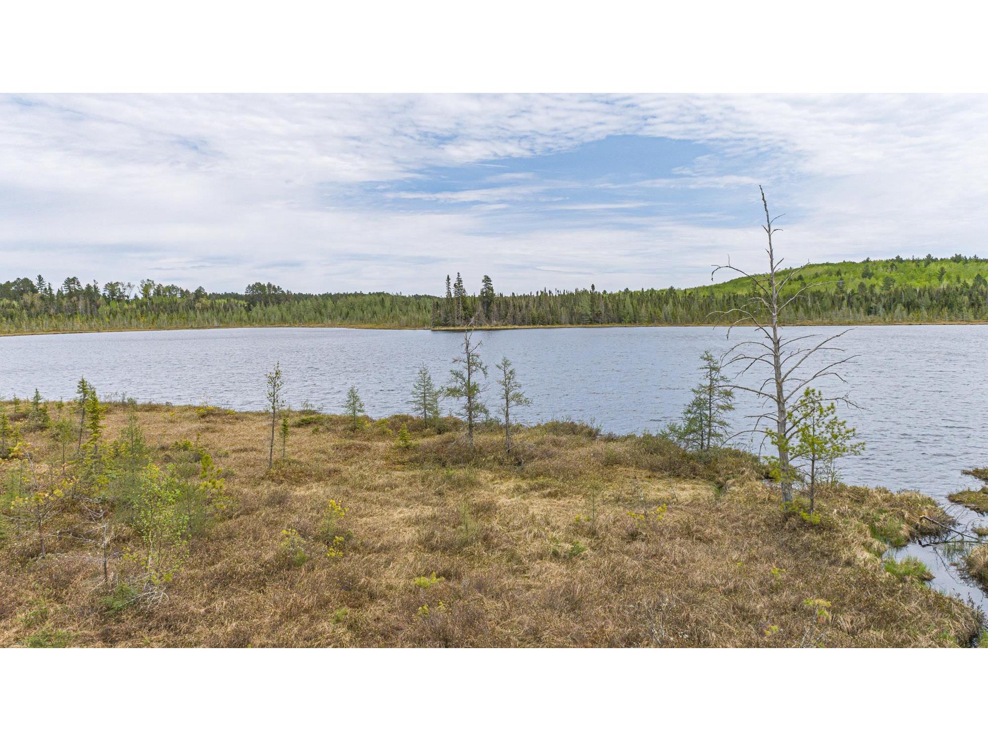 10350 Victor Lake Rd Isabella MN 55607 - Victor 6122052 image27