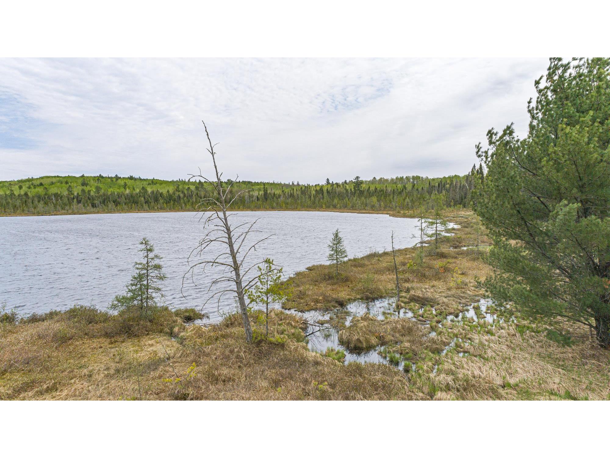 10350 Victor Lake Rd Isabella MN 55607 - Victor 6122052 image28