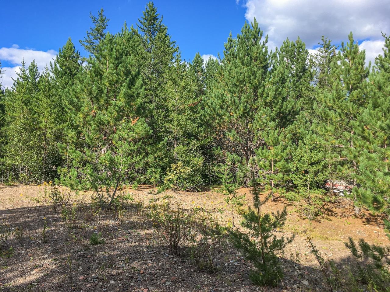 10350 Victor Lake Rd Isabella MN 55607 - Victor 6122052 image30