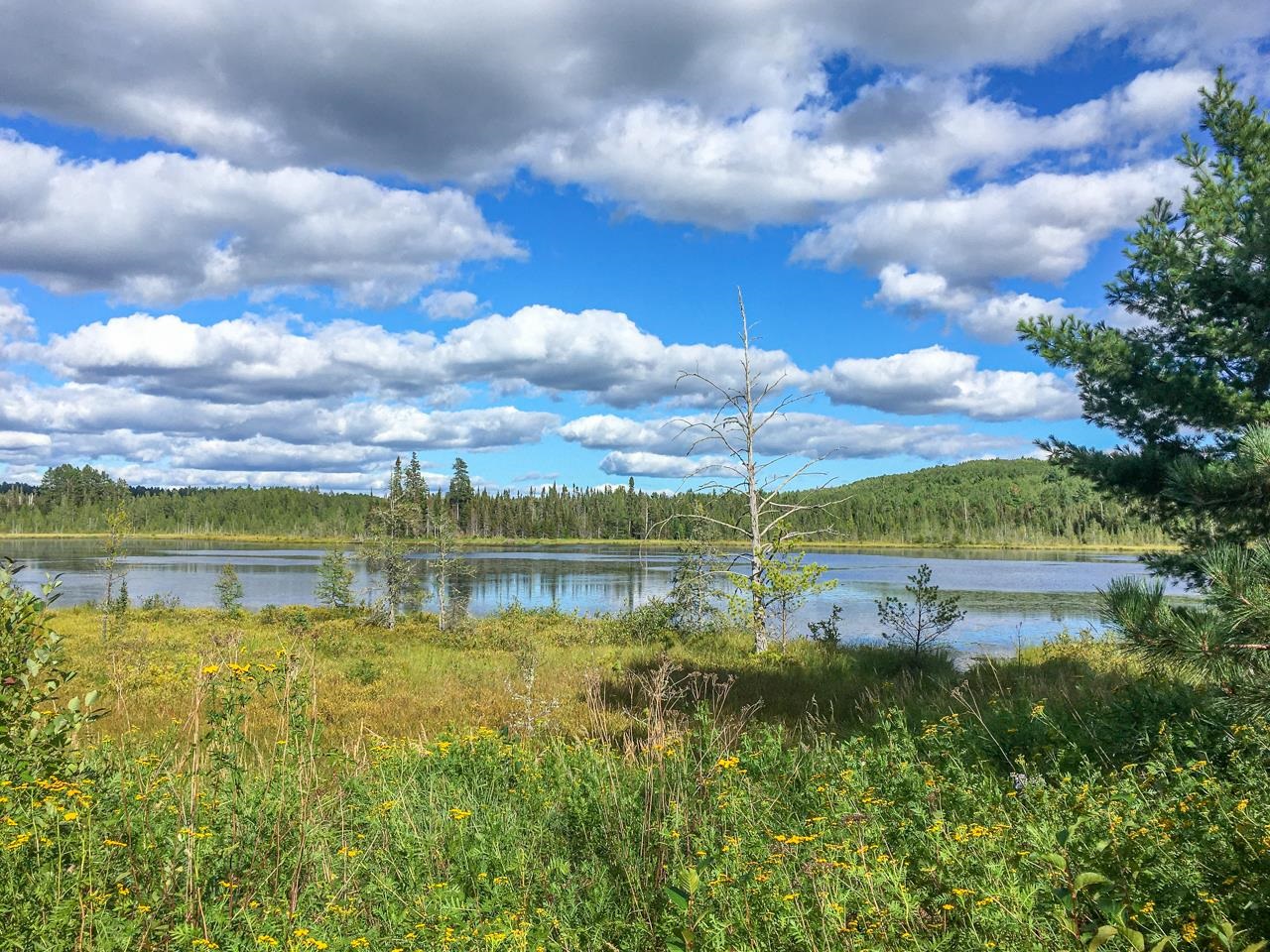 10350 Victor Lake Rd Isabella MN 55607 - Victor 6122052 image32