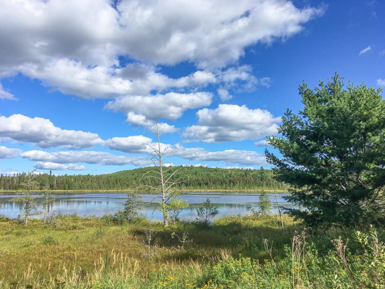 10350 Victor Lake Rd Isabella MN 55607 - Victor 6122052 image33