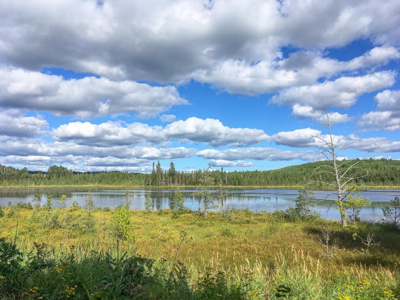 10350 Victor Lake Rd Isabella MN 55607 - Victor 6122052 image34