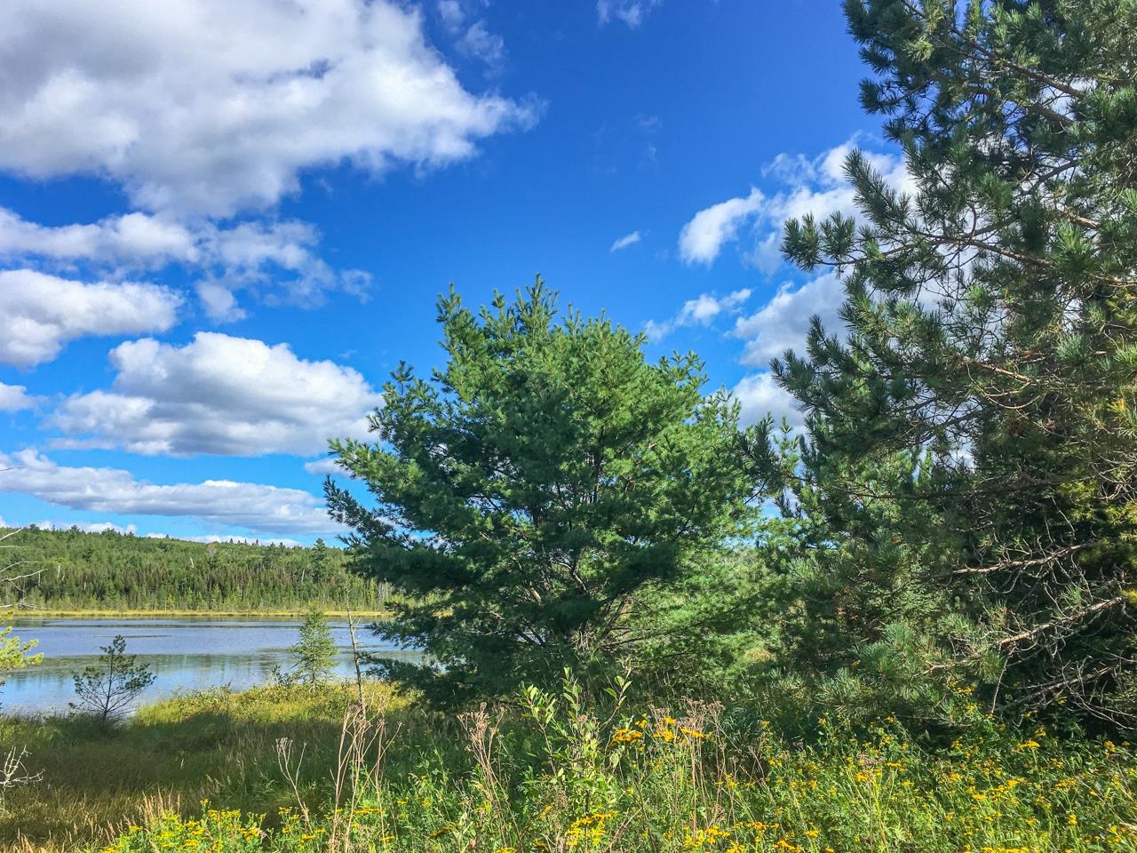 10350 Victor Lake Rd Isabella MN 55607 - Victor 6122052 image35