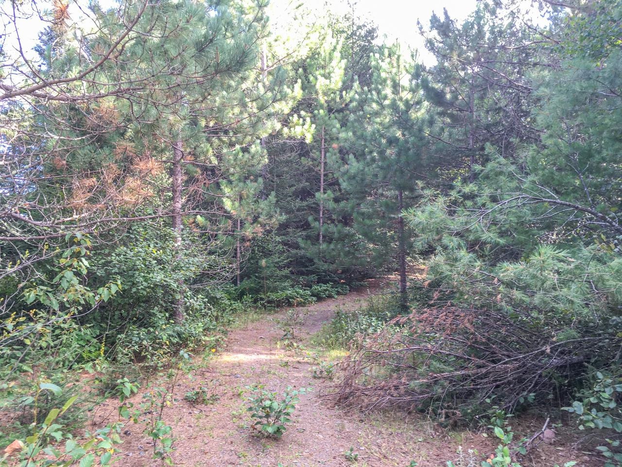 10350 Victor Lake Rd Isabella MN 55607 - Victor 6122052 image36