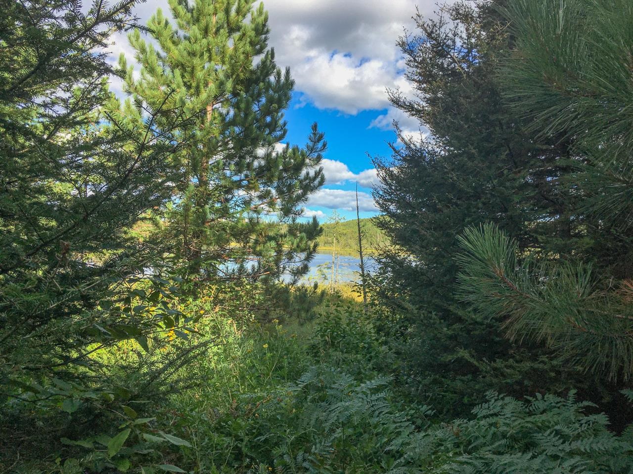 10350 Victor Lake Rd Isabella MN 55607 - Victor 6122052 image37