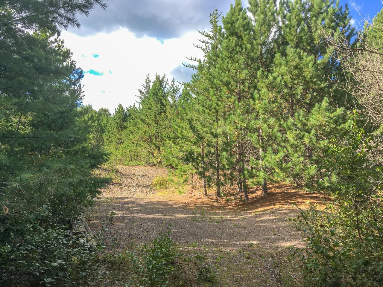 10350 Victor Lake Rd Isabella MN 55607 - Victor 6122052 image38