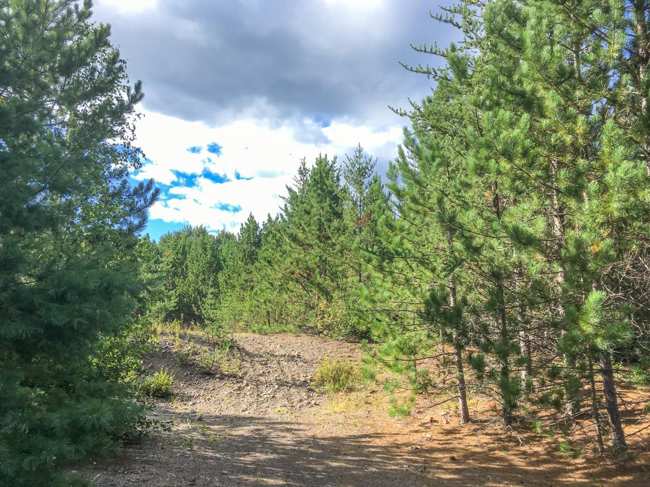 10350 Victor Lake Rd Isabella MN 55607 - Victor 6122052 image39