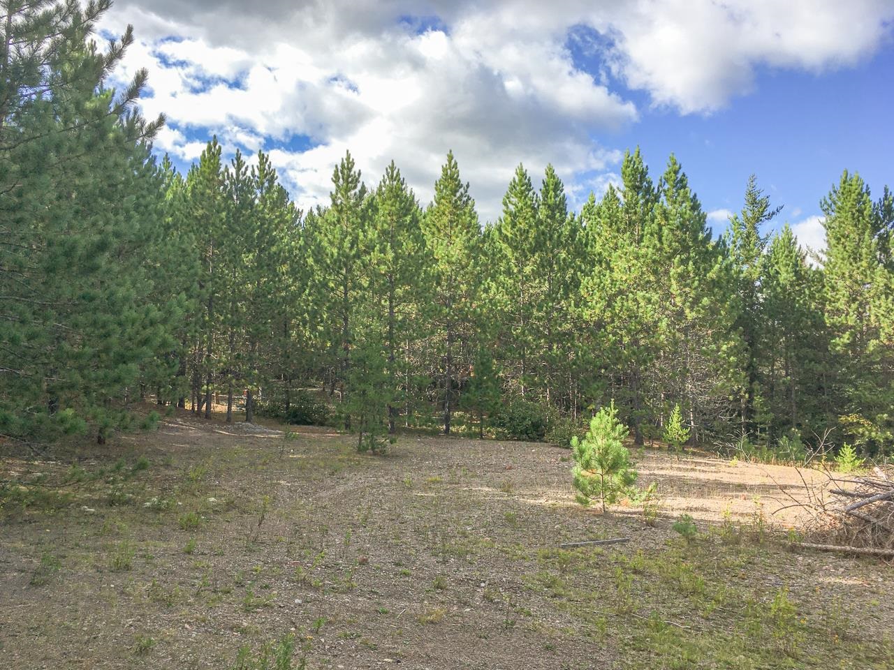 10350 Victor Lake Rd Isabella MN 55607 - Victor 6122052 image41