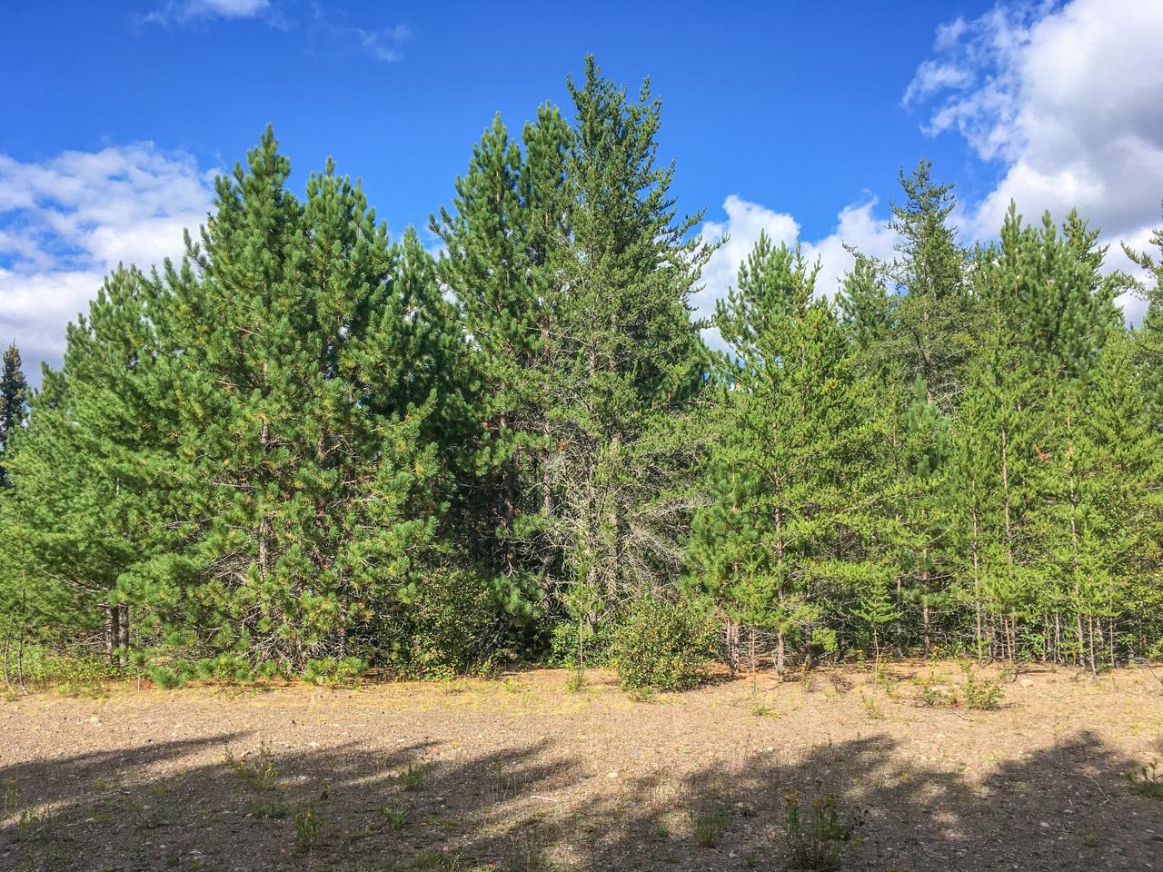 10350 Victor Lake Rd Isabella MN 55607 - Victor 6122052 image42