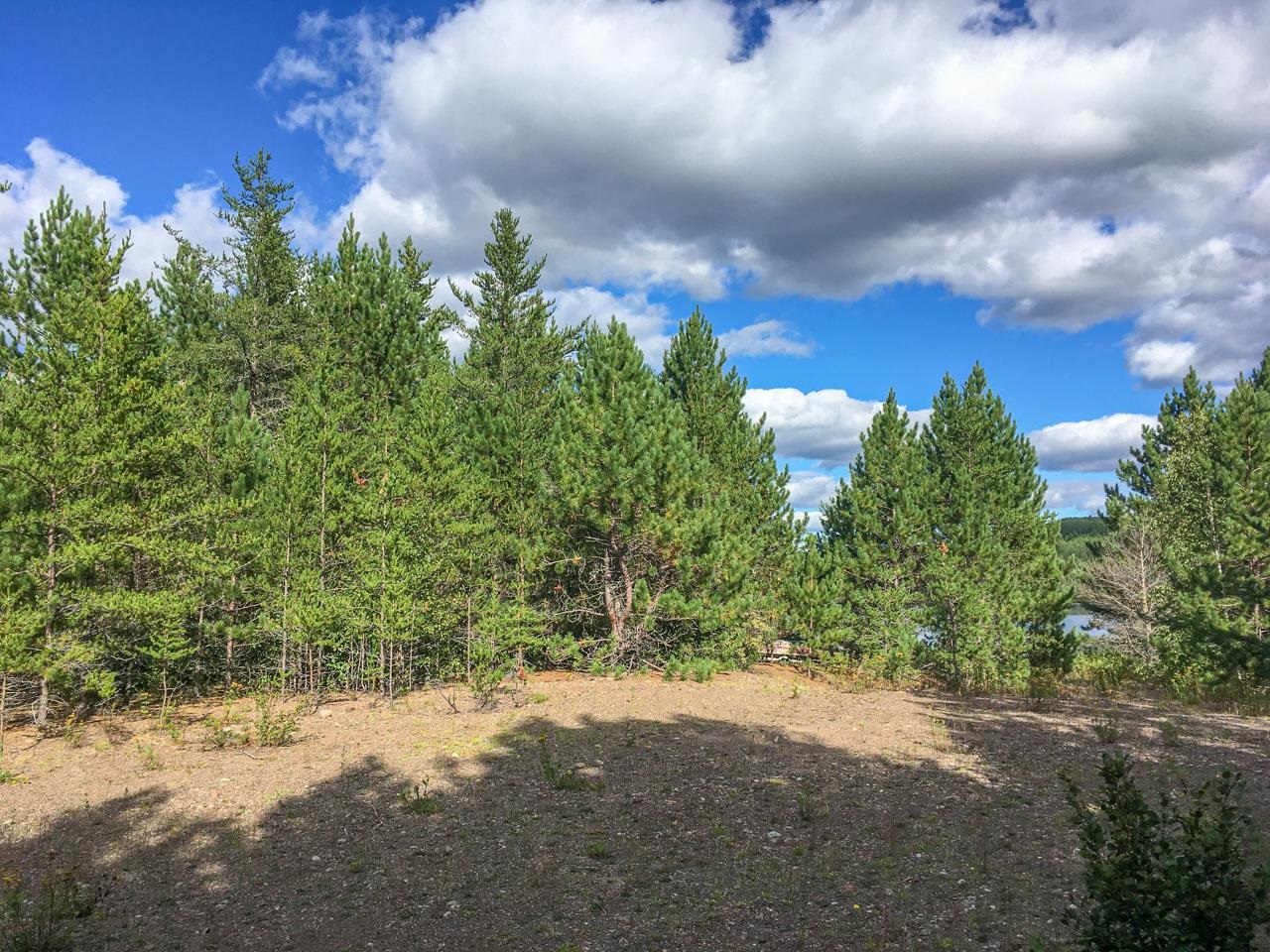 10350 Victor Lake Rd Isabella MN 55607 - Victor 6122052 image43