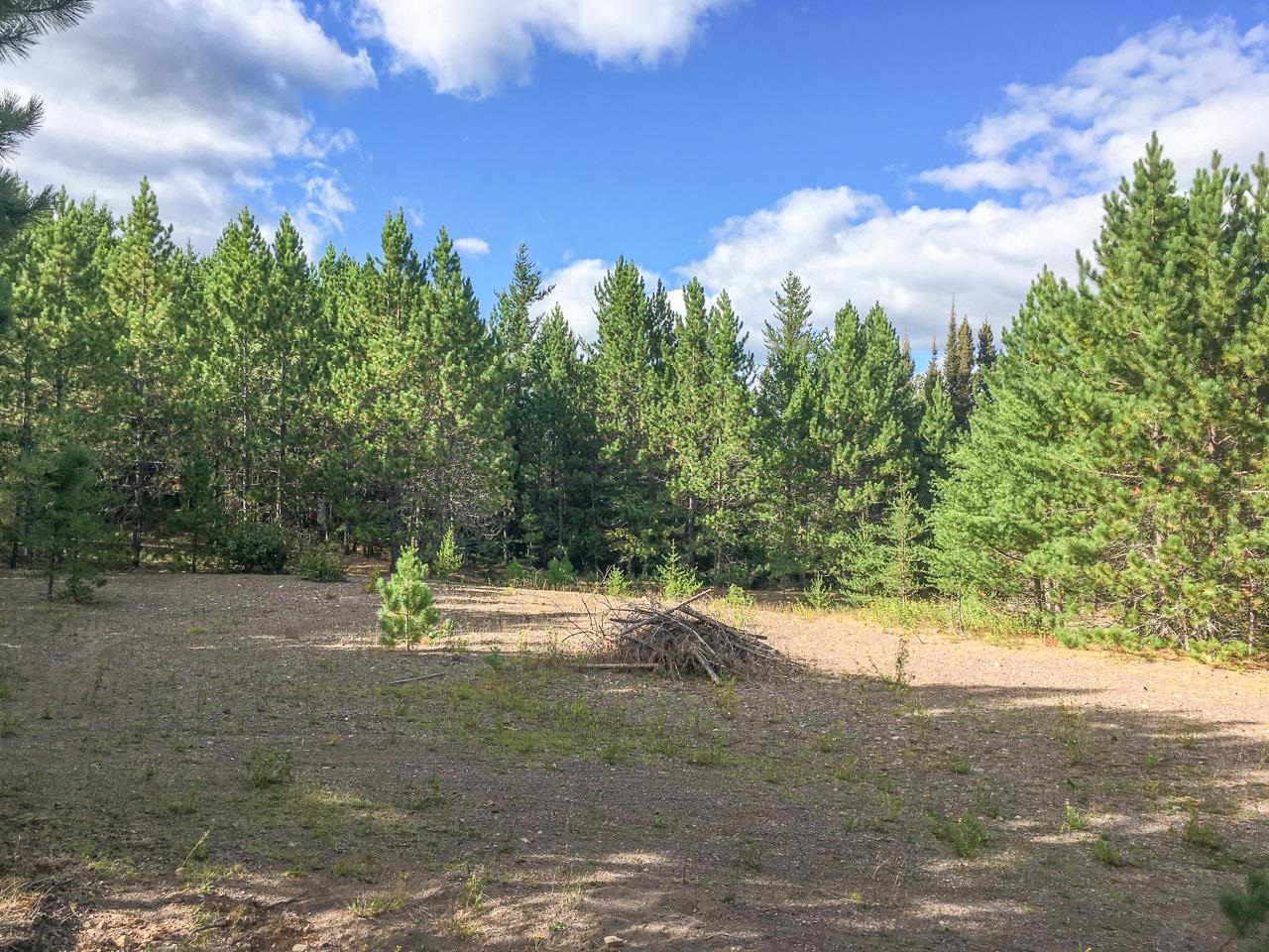 10350 Victor Lake Rd Isabella MN 55607 - Victor 6122052 image44