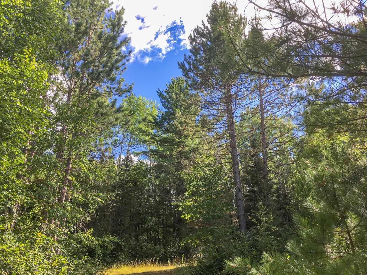 10350 Victor Lake Rd Isabella MN 55607 - Victor 6122052 image46