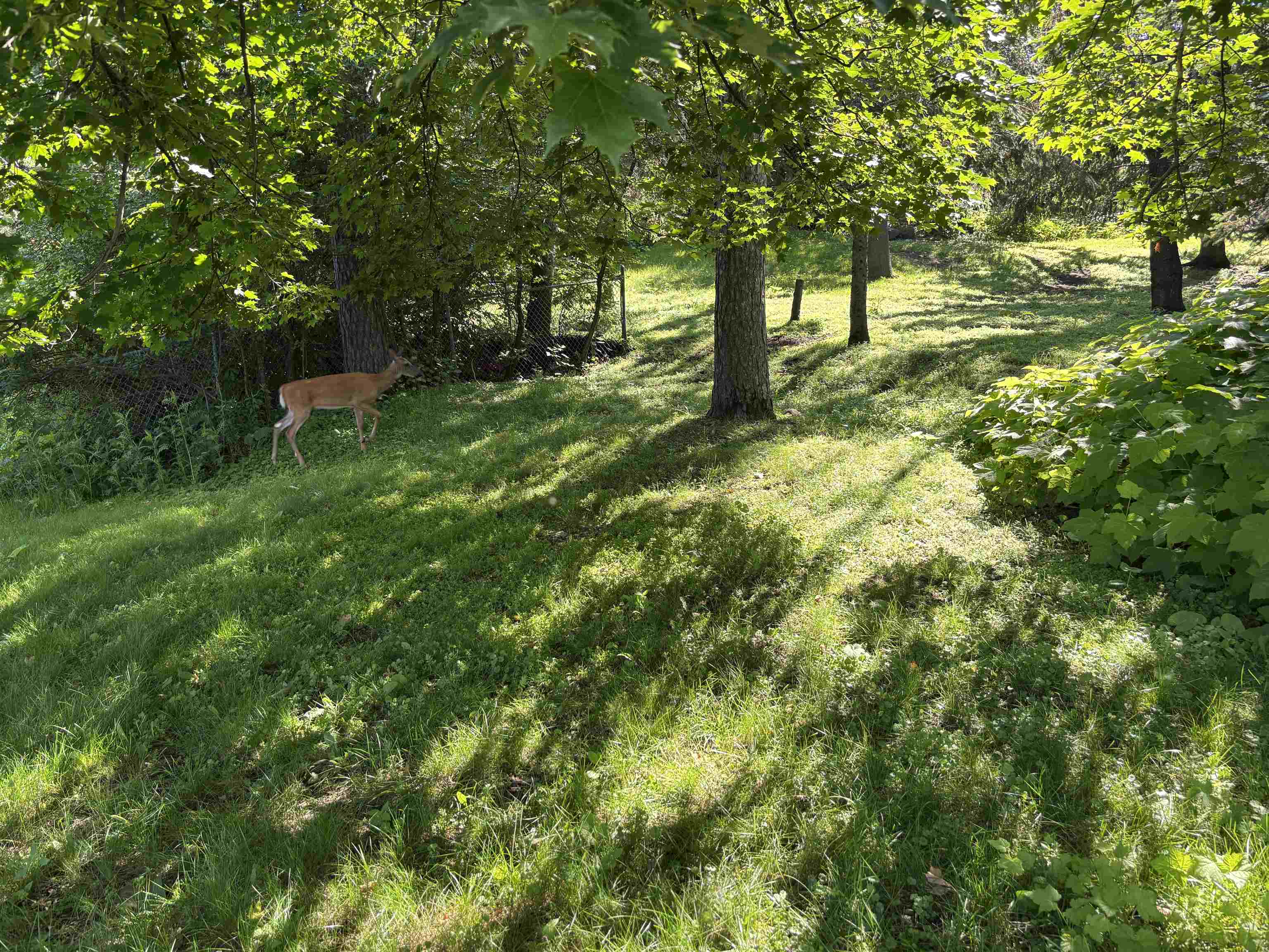 1039 Brainerd Ave Duluth MN 55811 6120962 image19