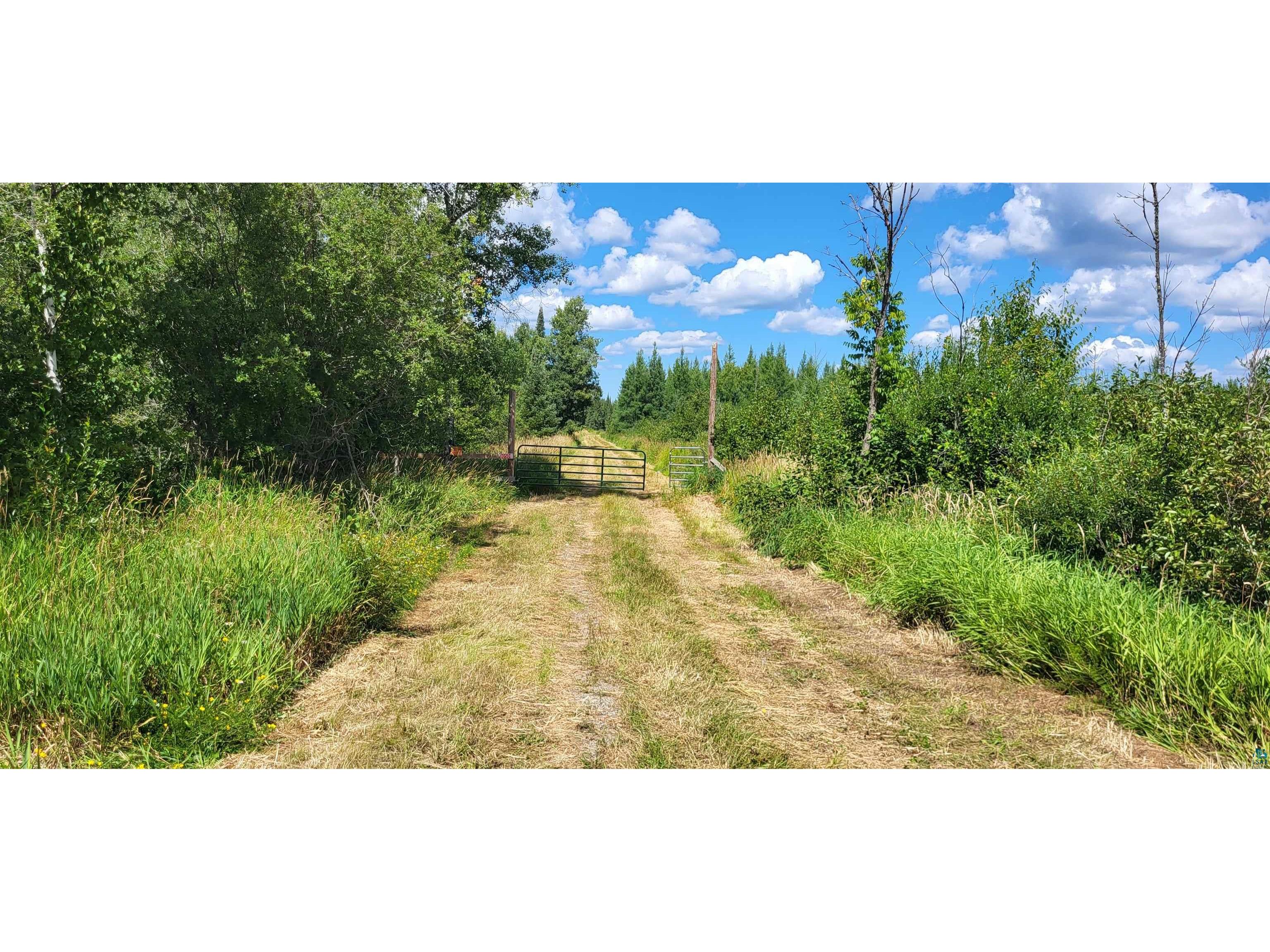 10501 Heino Rd Angora MN 55703 6110036 image1