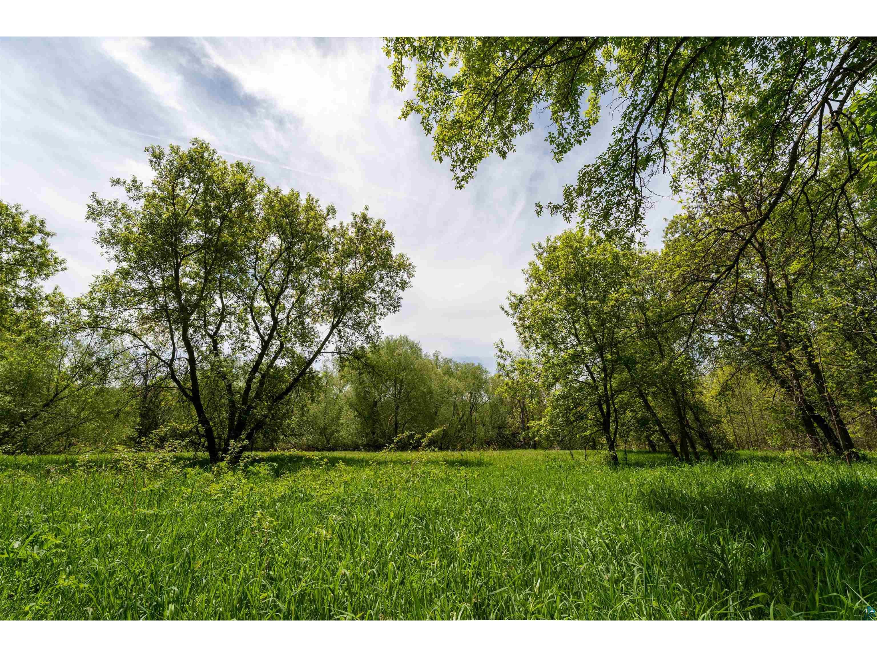 10550 Flagg River Rd Port Wing WI 54865 - Flagg River 6124218 image3