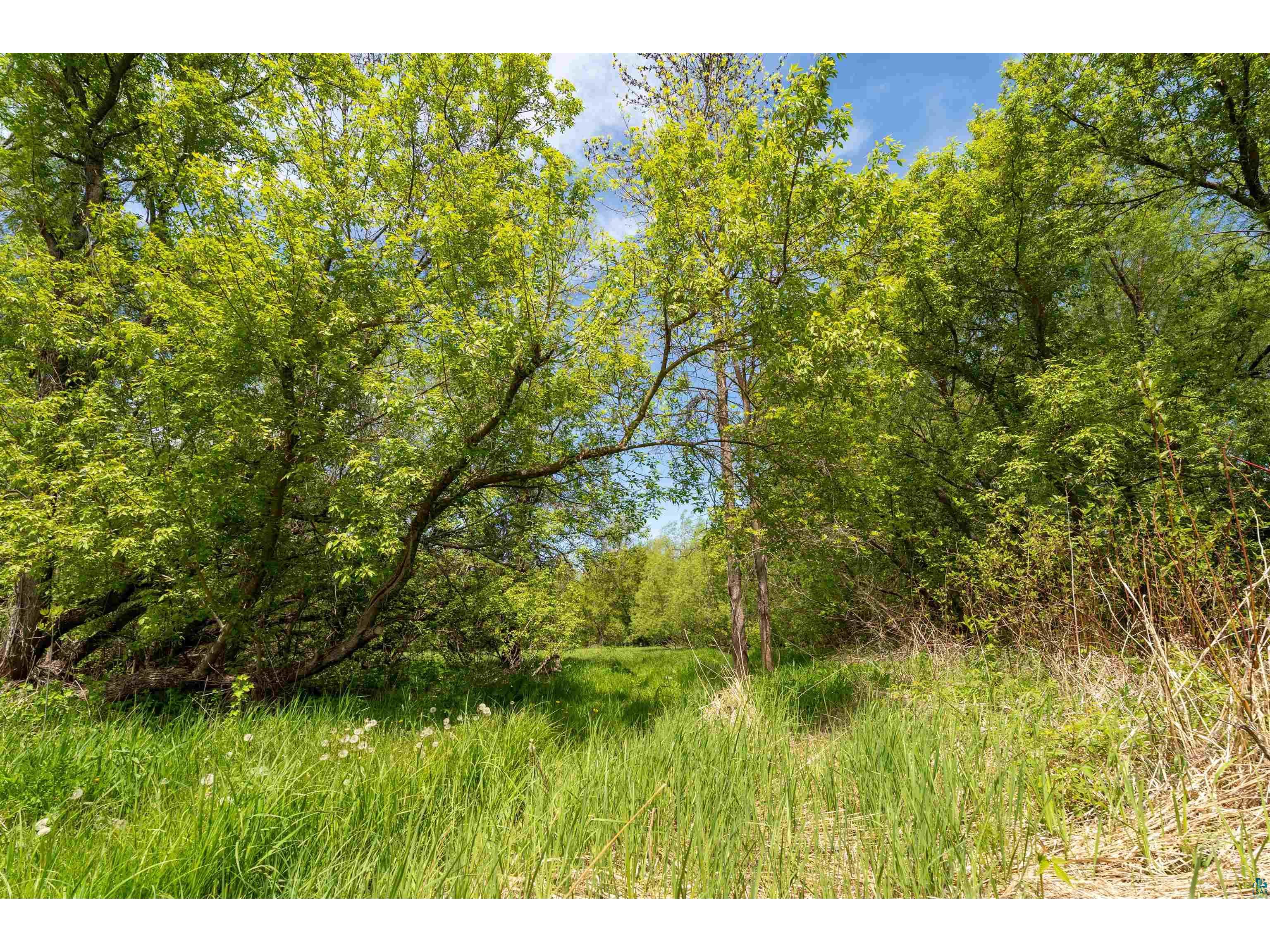 10550 Flagg River Rd Port Wing WI 54865 - Flagg River 6124218 image6