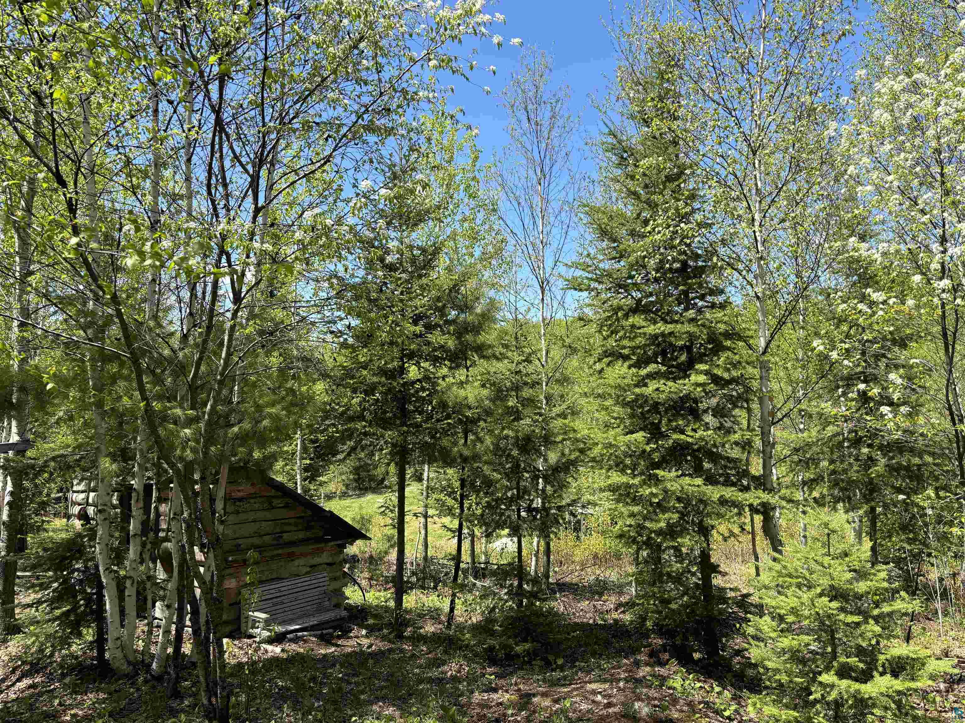 1068 Kelly Trail Isabella MN 55607 6125150 image14
