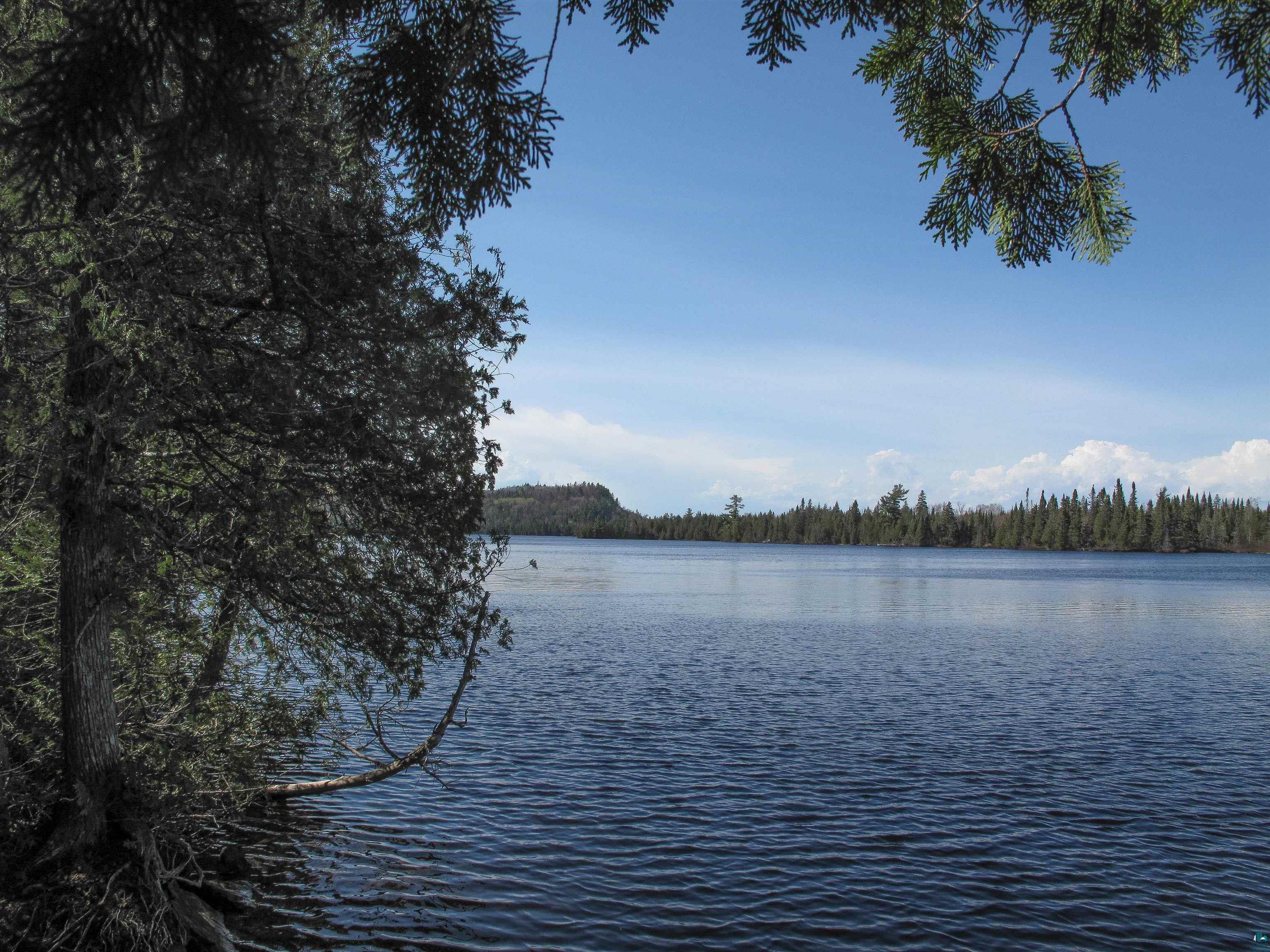 109 Tom Overlook Tr Hovland MN 55606 - Tom 6125581 image44