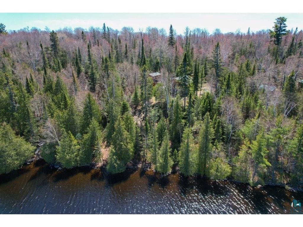 109 Tom Overlook Tr Hovland MN 55606 - Tom 6125581 image46