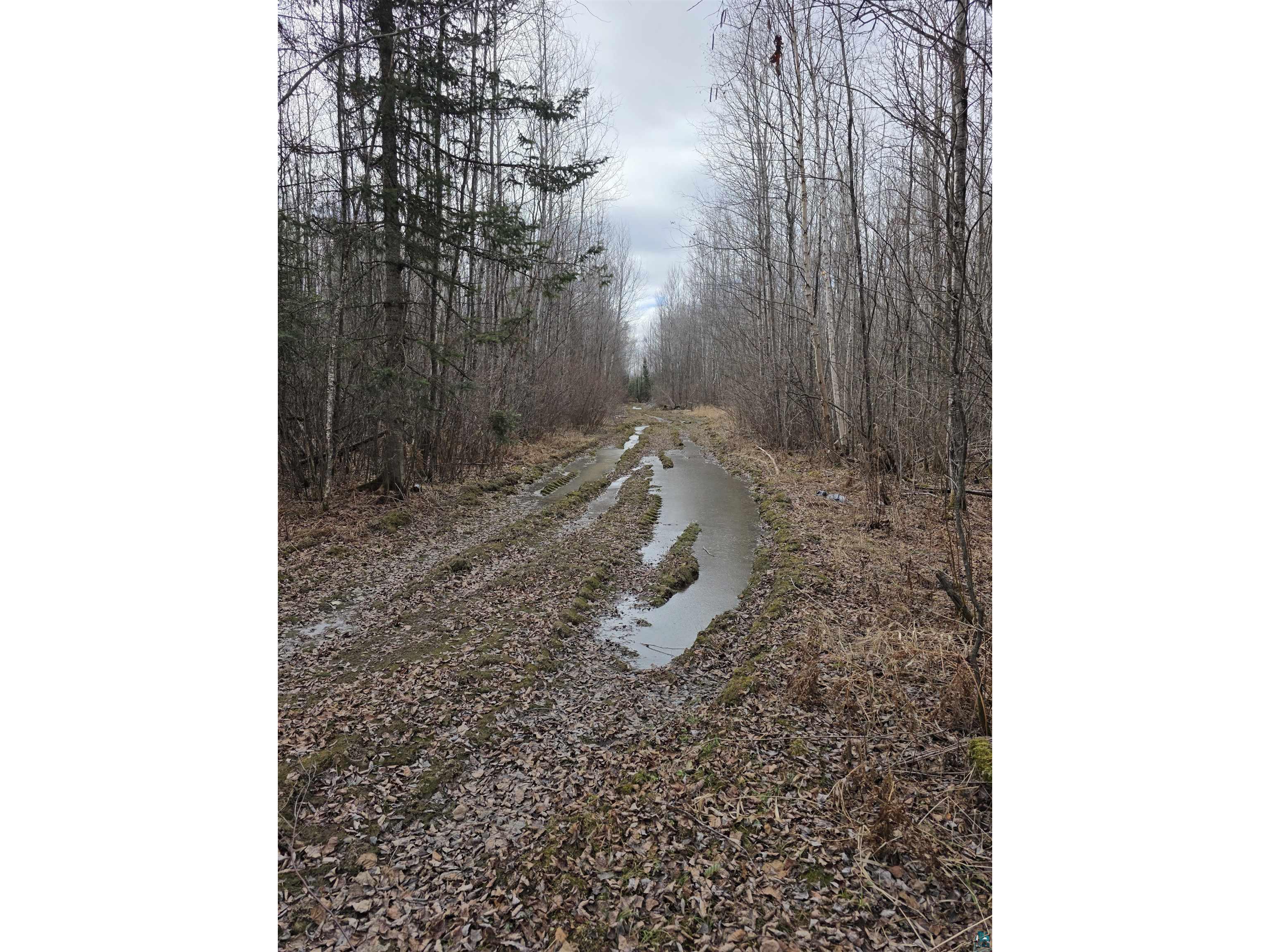 10918 Oja Rd Hibbing MN 55746 6124697 image2