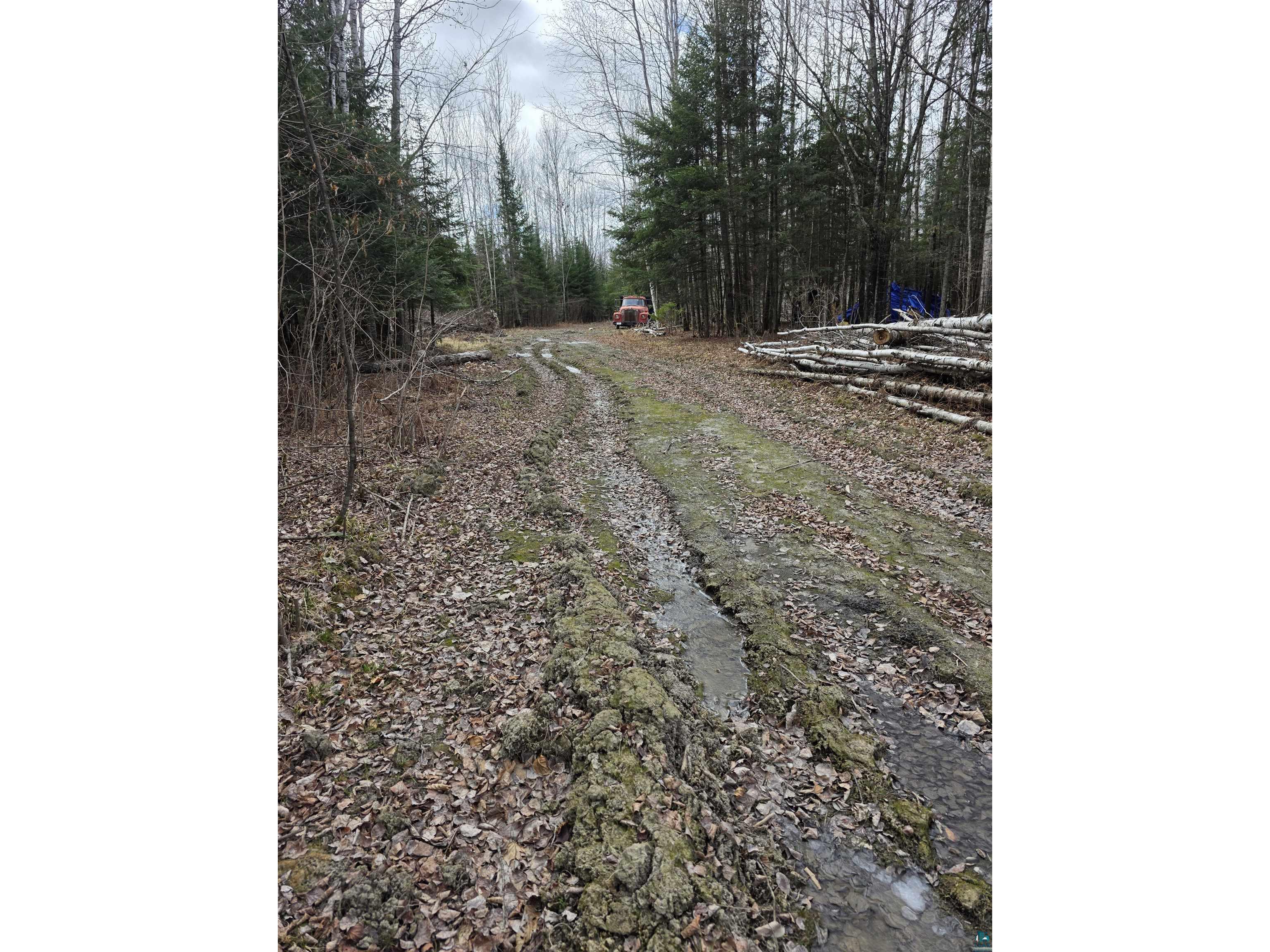 10918 Oja Rd Hibbing MN 55746 6124697 image3