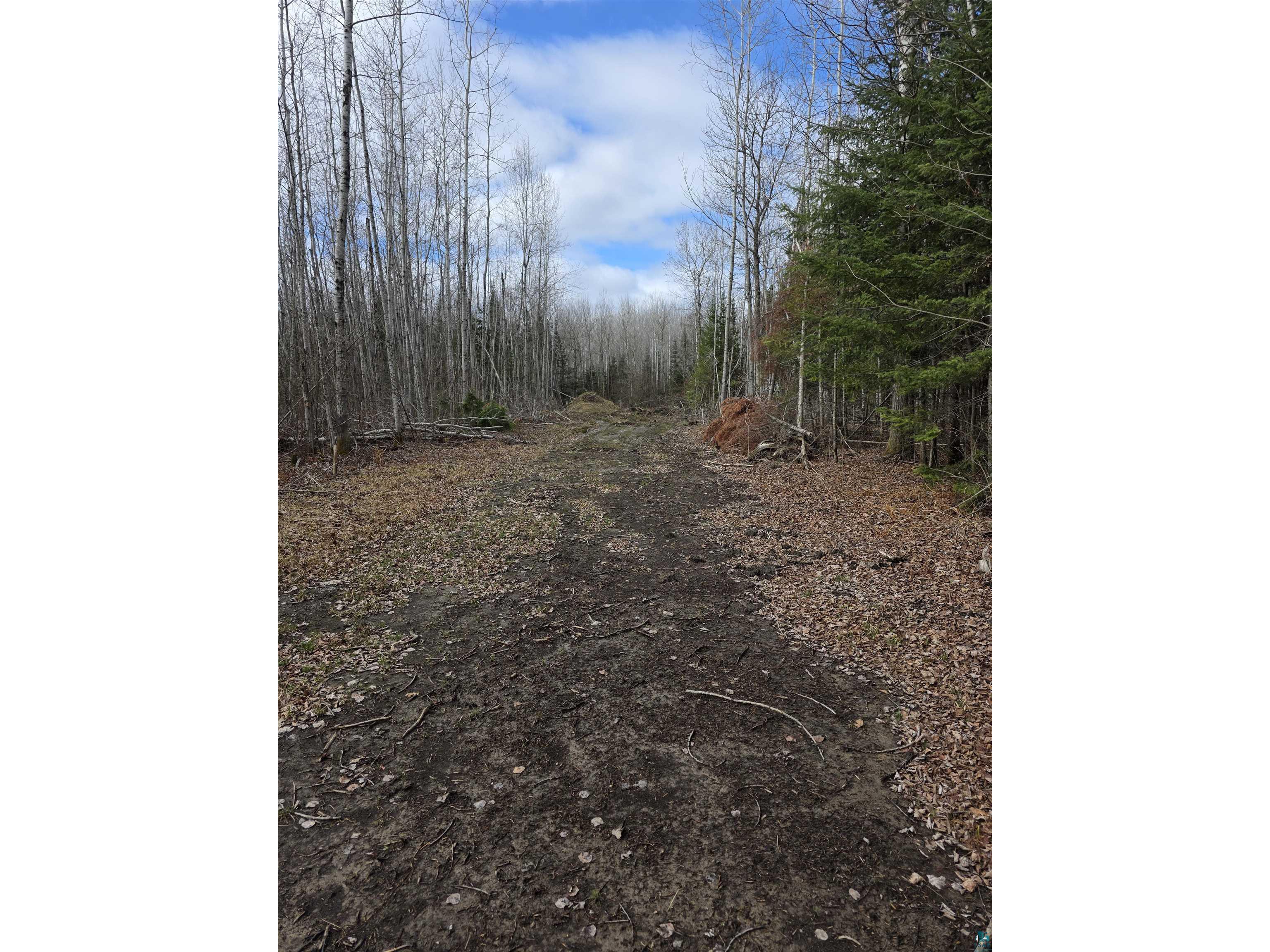 10918 Oja Rd Hibbing MN 55746 6124697 image4