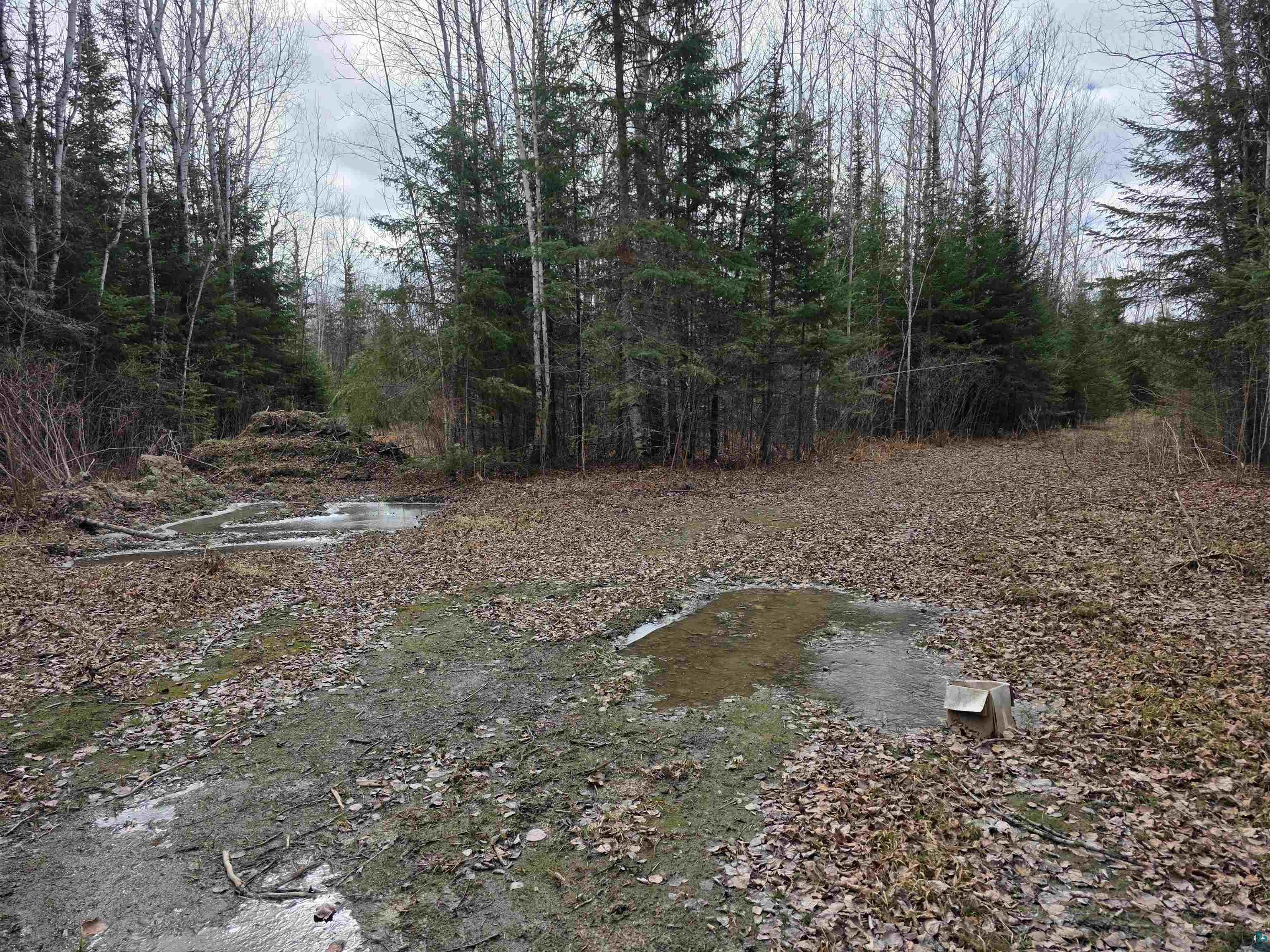 10918 Oja Rd Hibbing MN 55746 6124697 image5
