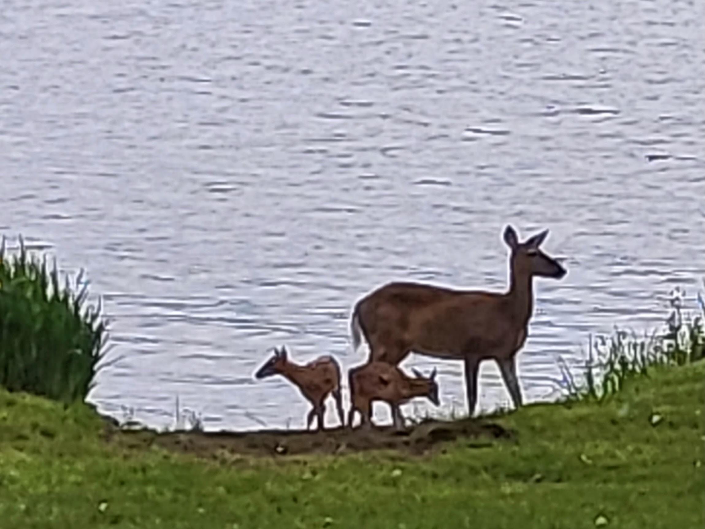 10922 S Stone Rd Solon Springs WI 54873 - Upper St Croix 6123152 image43