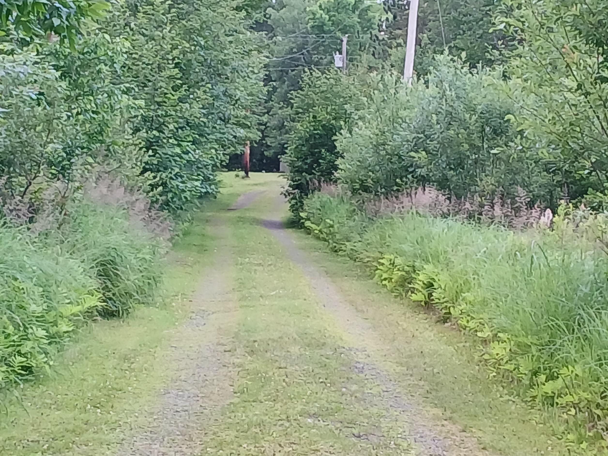 10922 S Stone Rd Solon Springs WI 54873 - Upper St Croix 6123152 image50