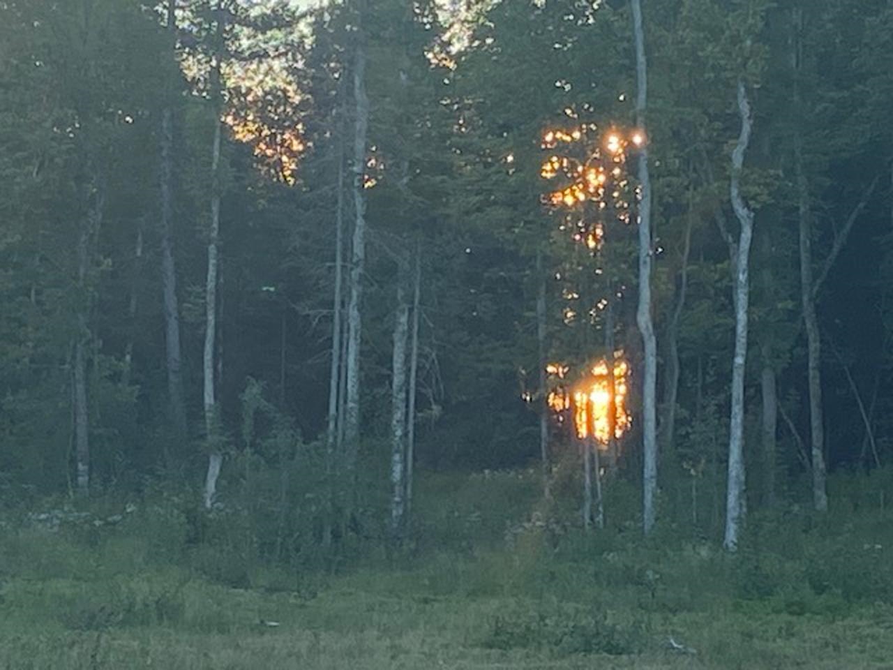 10943 Hwy 23 Orr MN 55771 - Pelican 6122020 image4